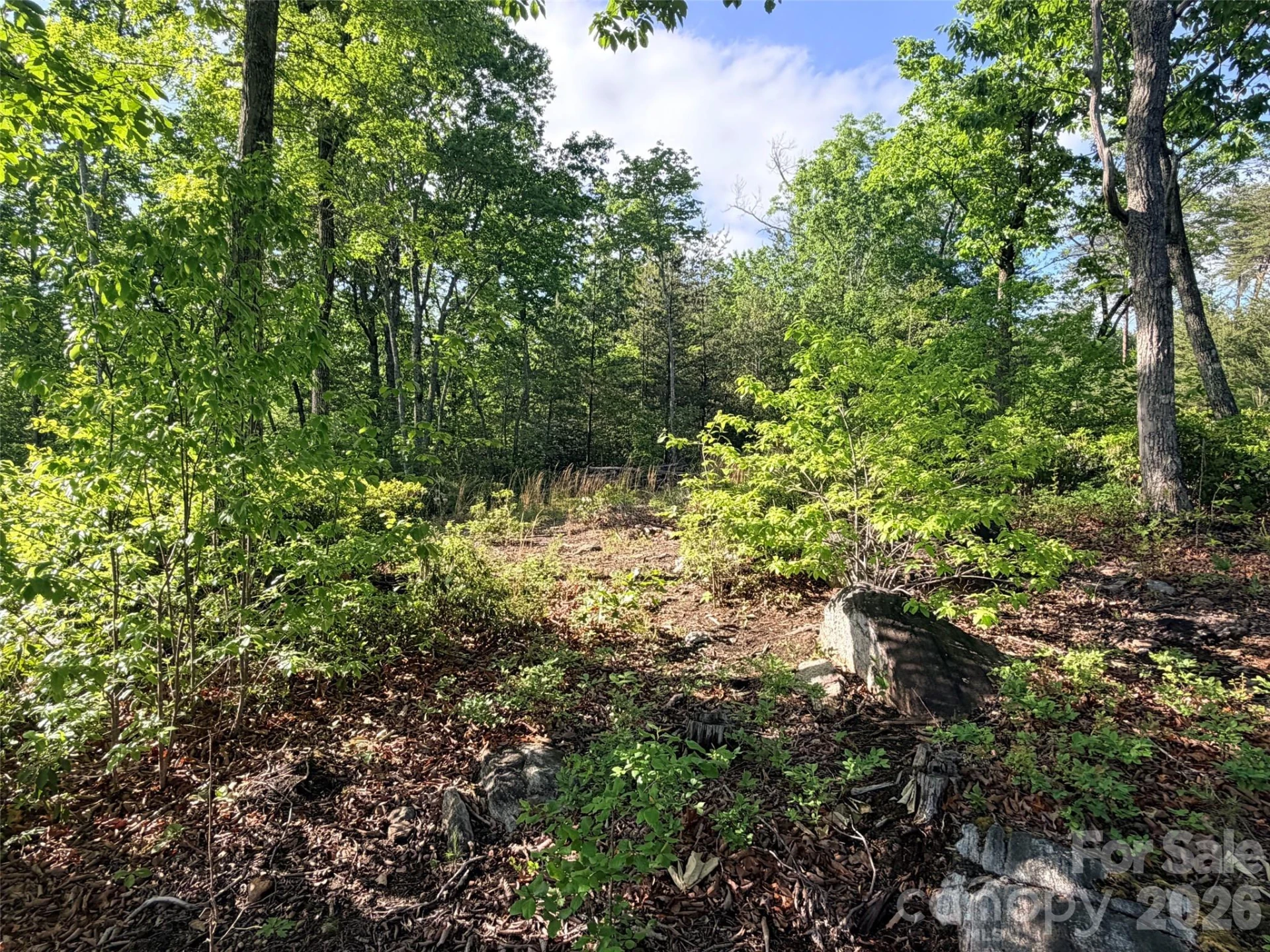 Lot 11 Brookside Parkway - Photo 5