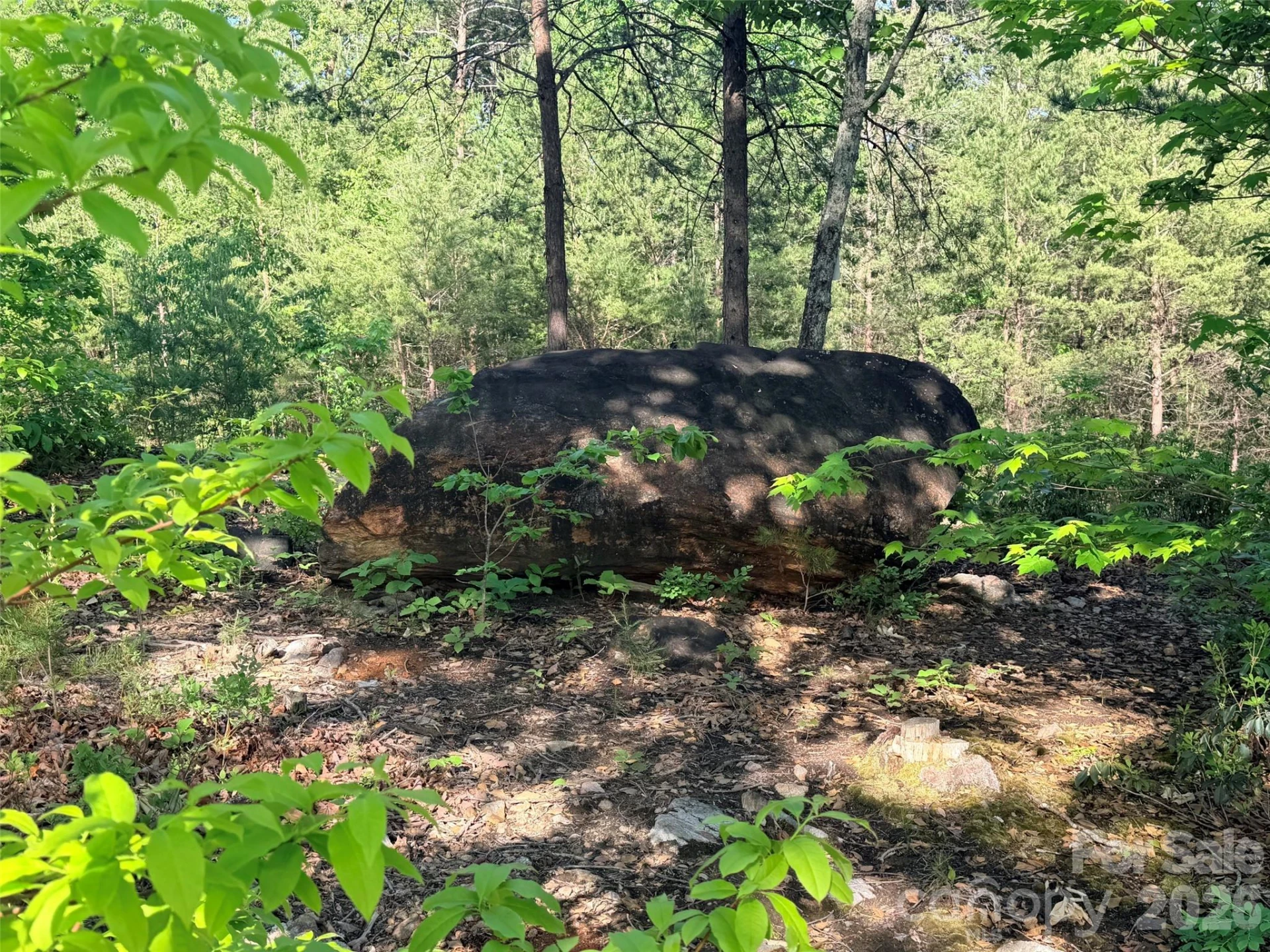 Lot 11 Brookside Parkway - Photo 6