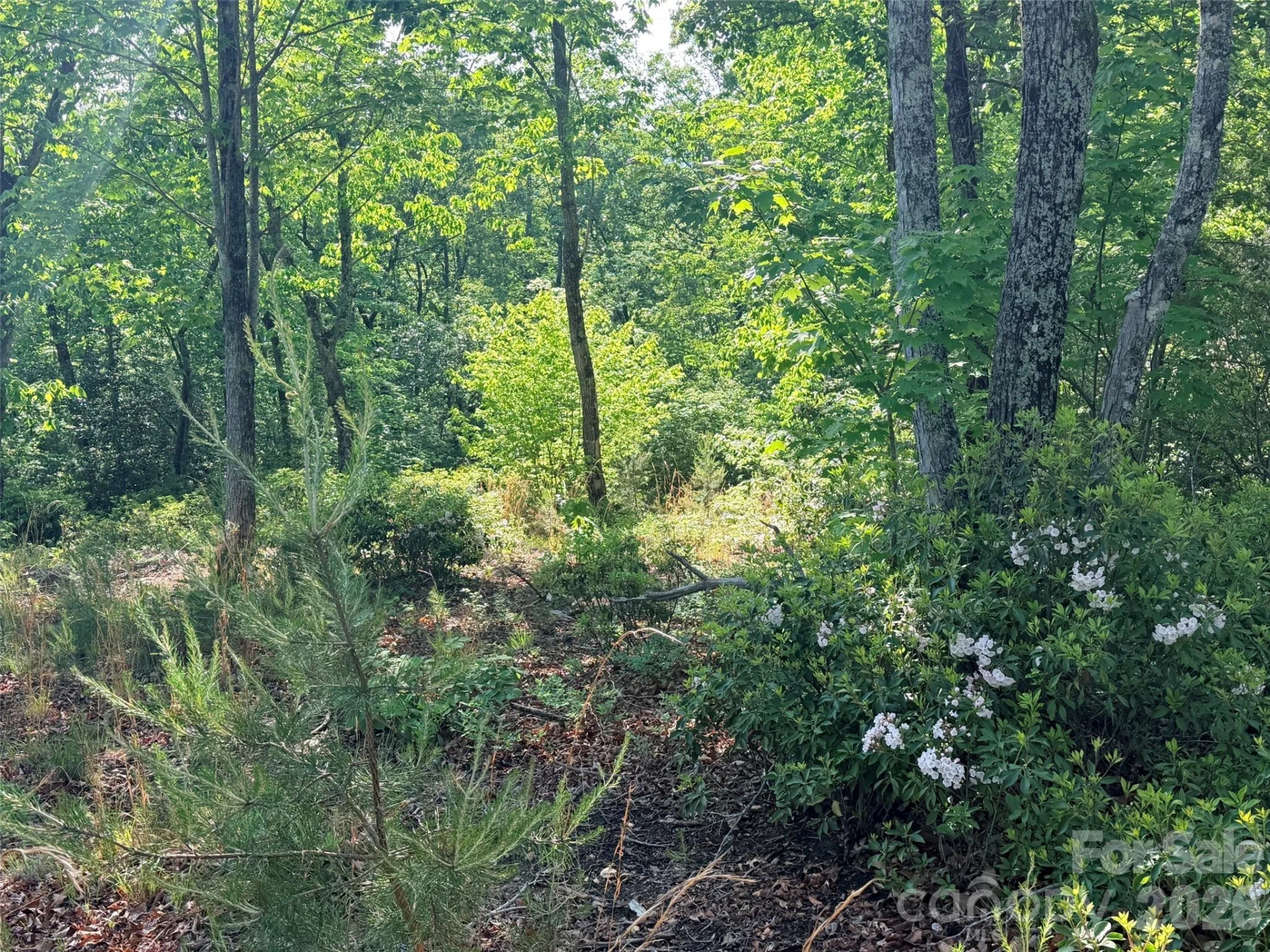 Lot 11 Brookside Parkway - Photo 7