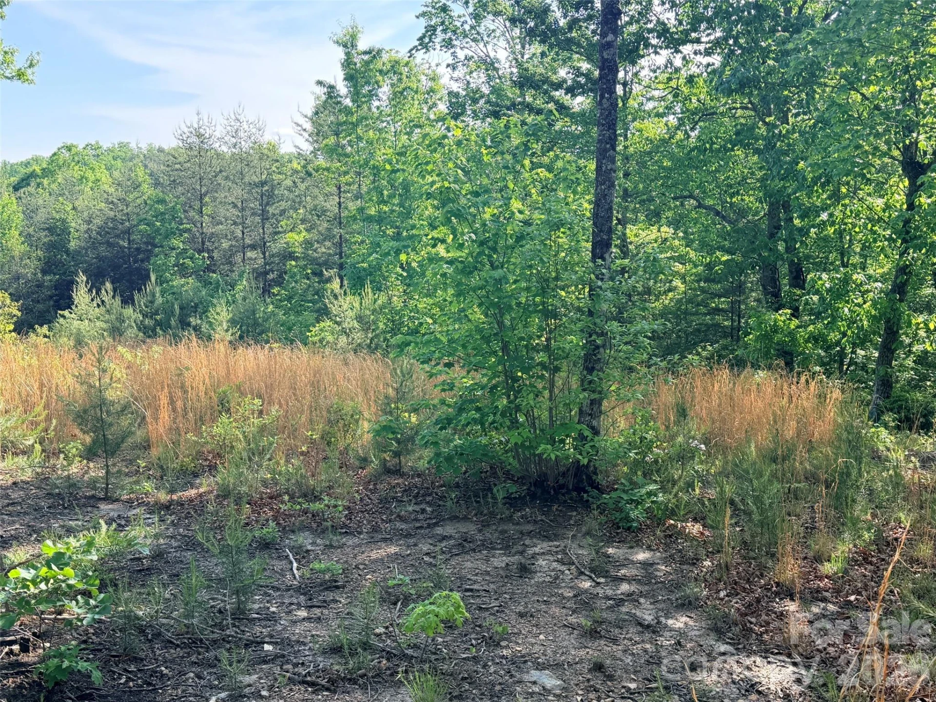 Lot 11 Brookside Parkway - Photo 8