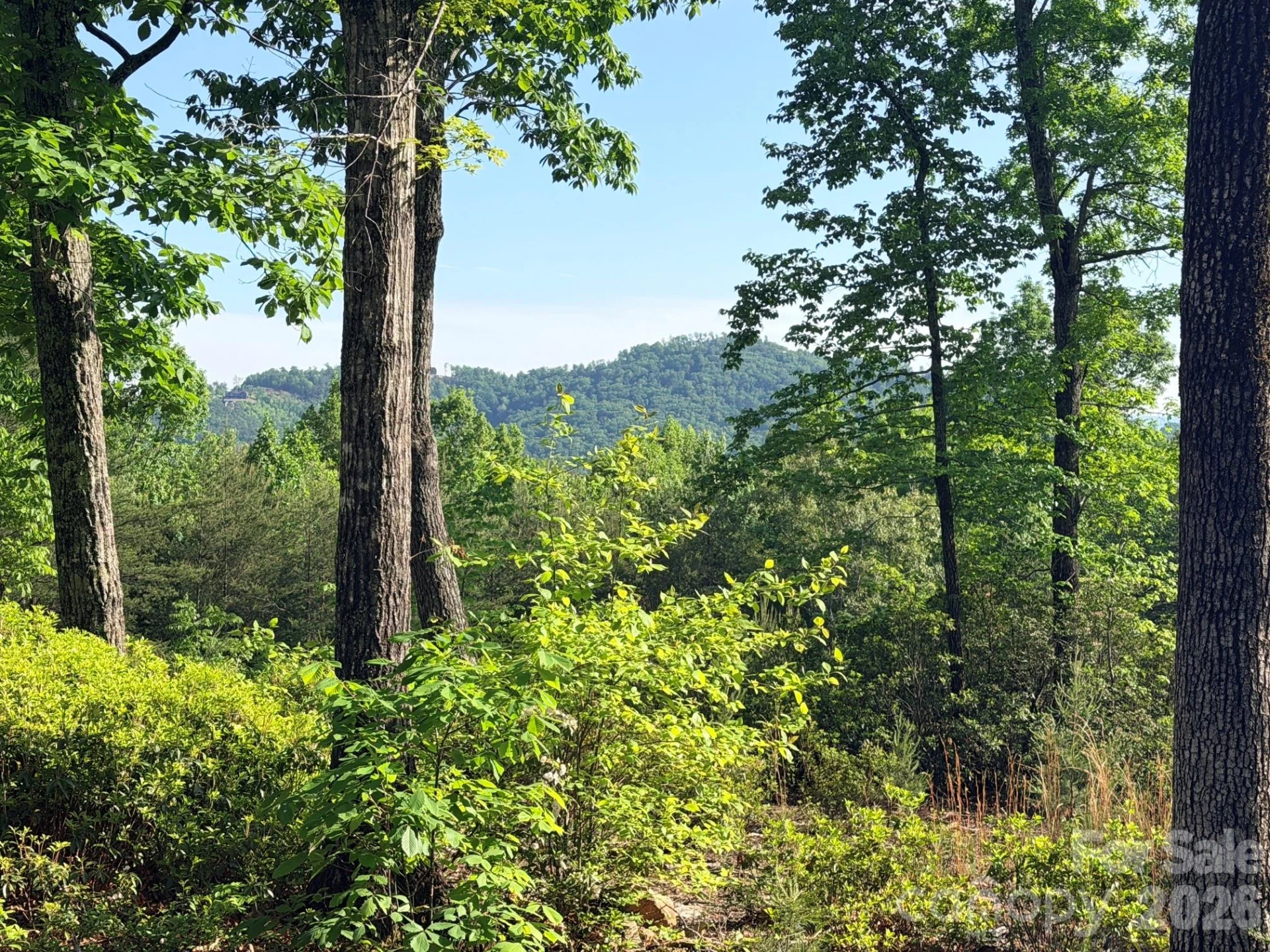 Lot 11 Brookside Parkway - Photo 9