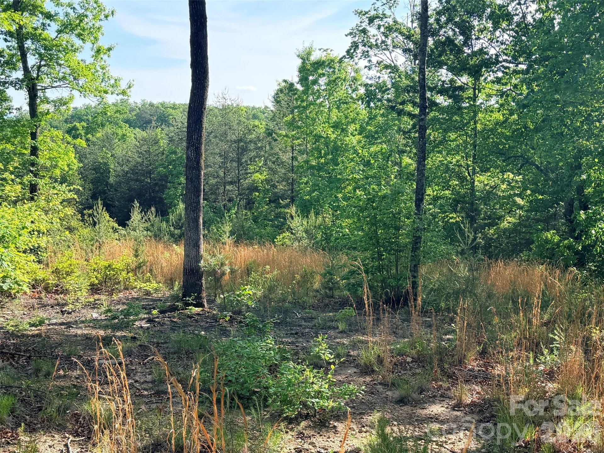 Lot 11 Brookside Parkway - Photo 10