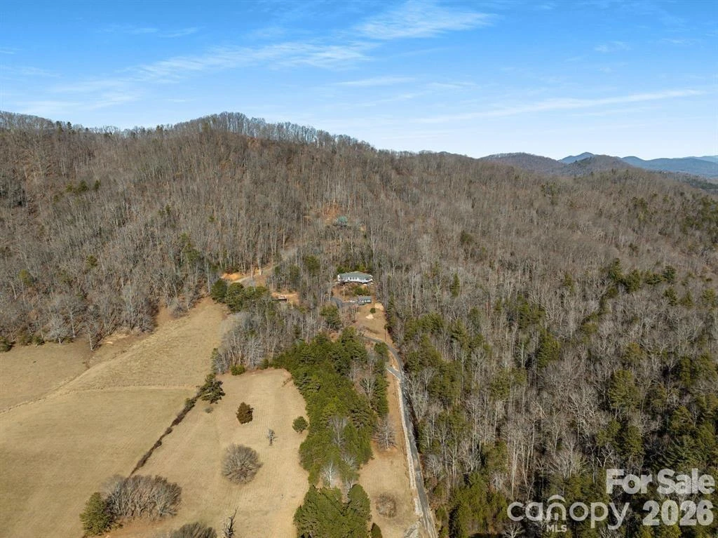 56 Great Horned Owl Road - Photo 29