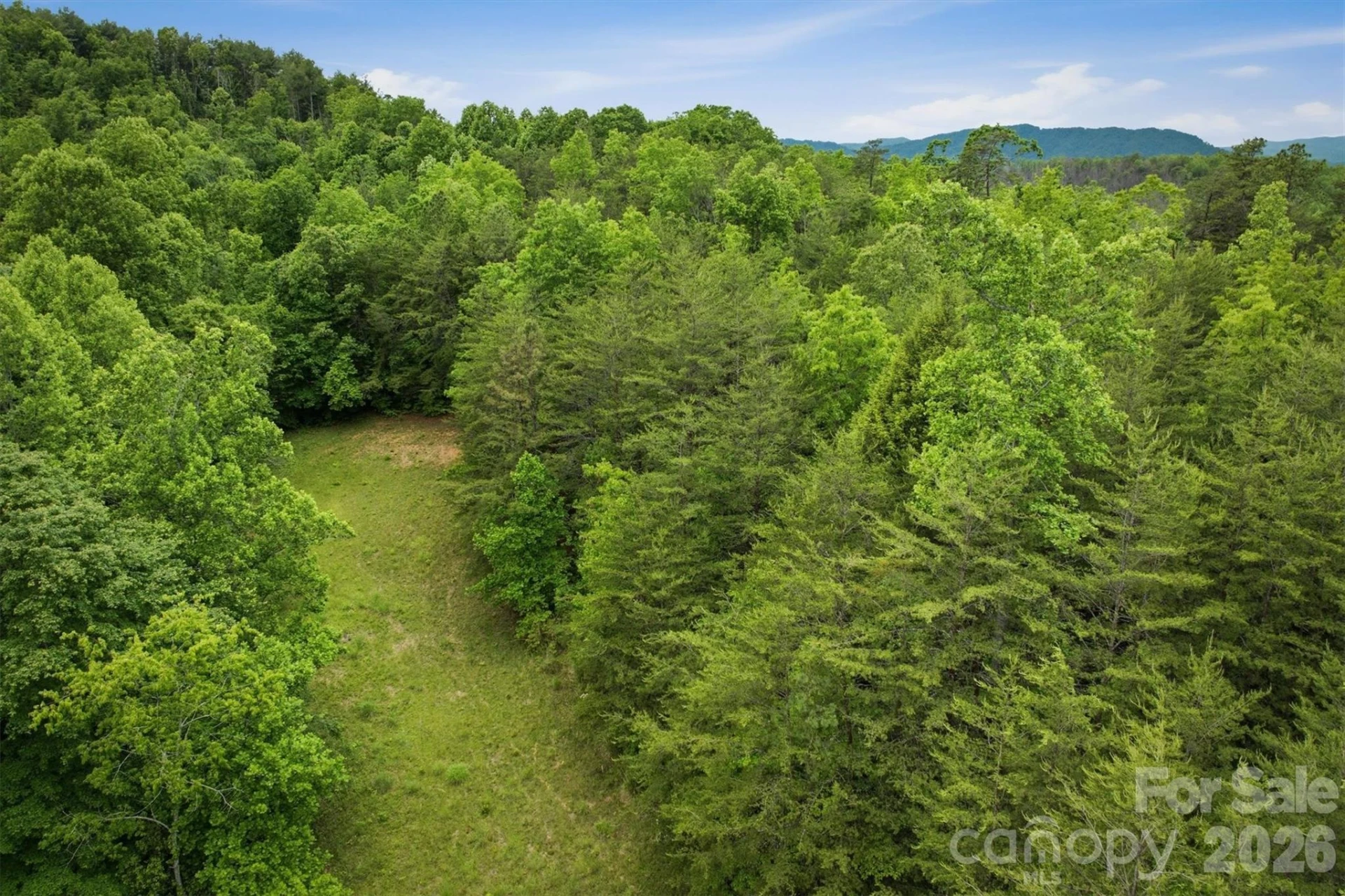 1350 Lavender Road - Photo 11