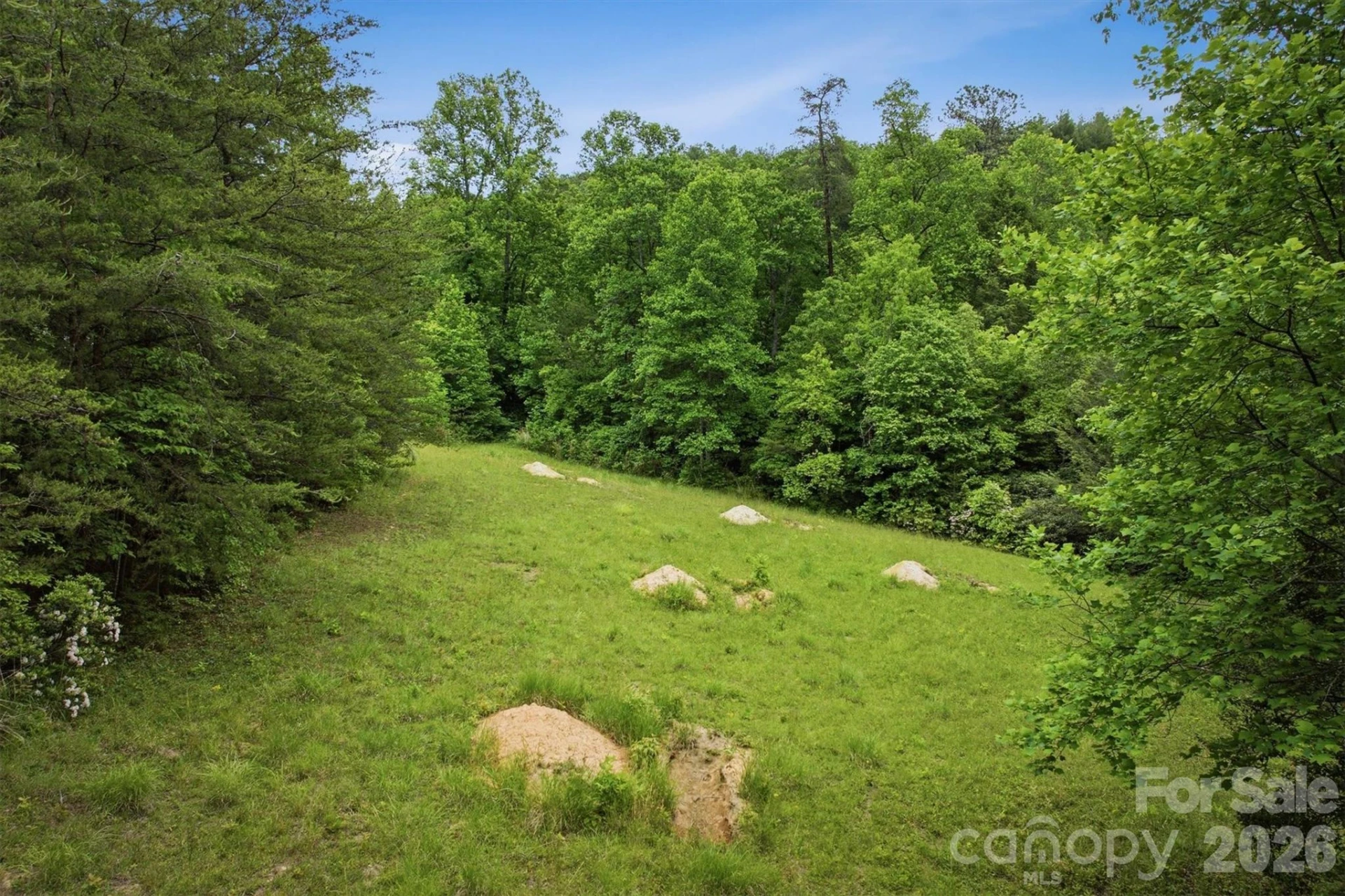1350 Lavender Road - Photo 12