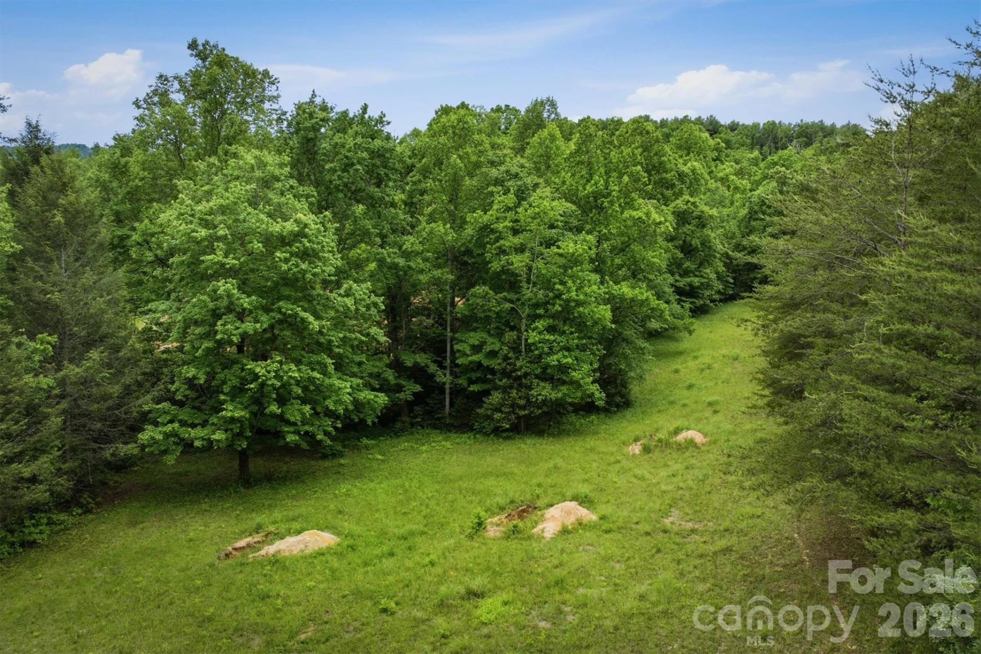 1350 Lavender Road - Photo 13