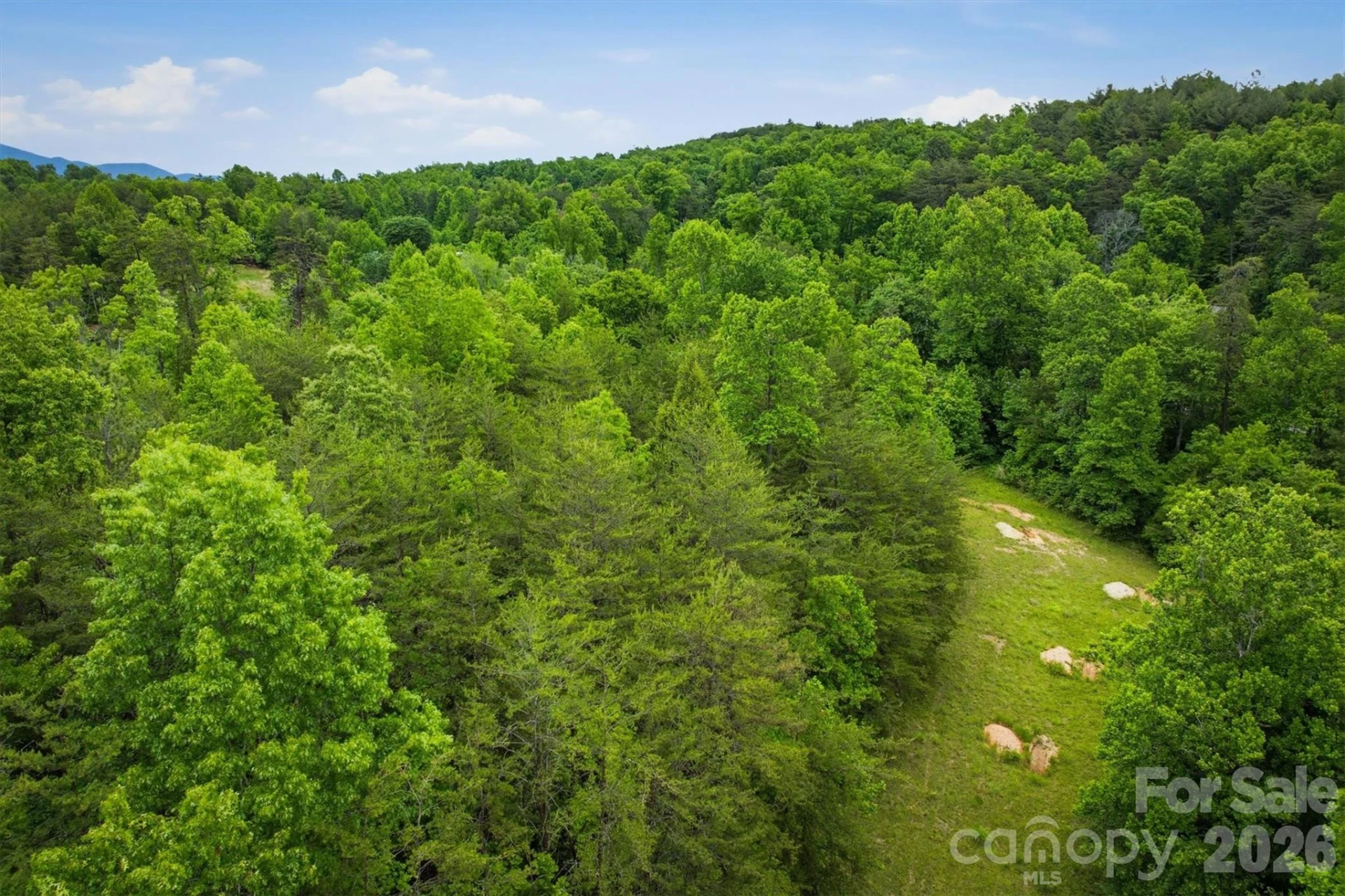 1350 Lavender Road - Photo 10