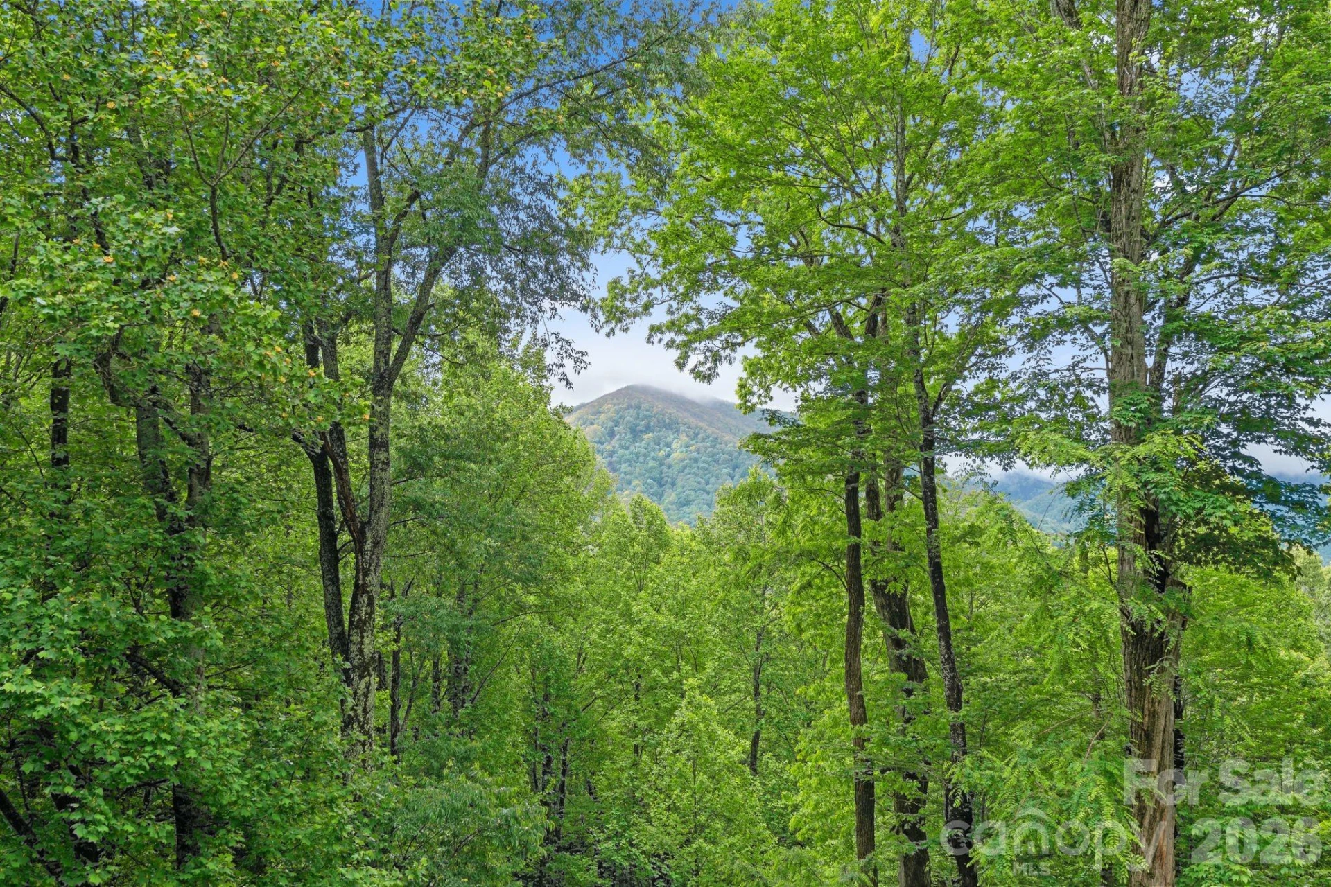140 Slim Ridge - Photo 26