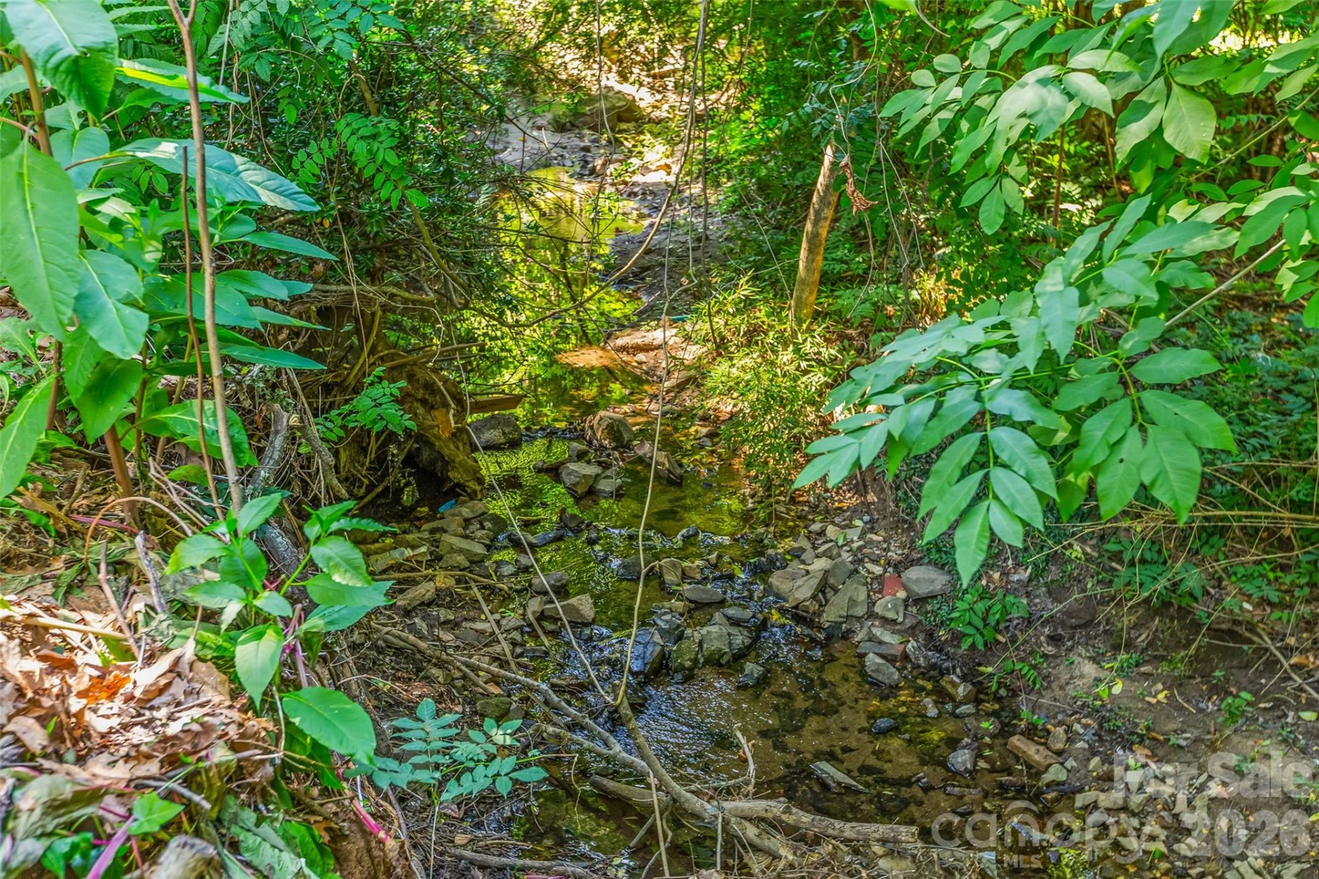 5015 Murrayhill Road - Photo 26