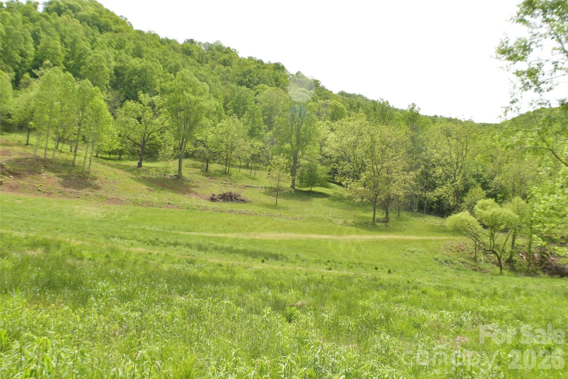 8200 Caney Fork Road - Photo 2