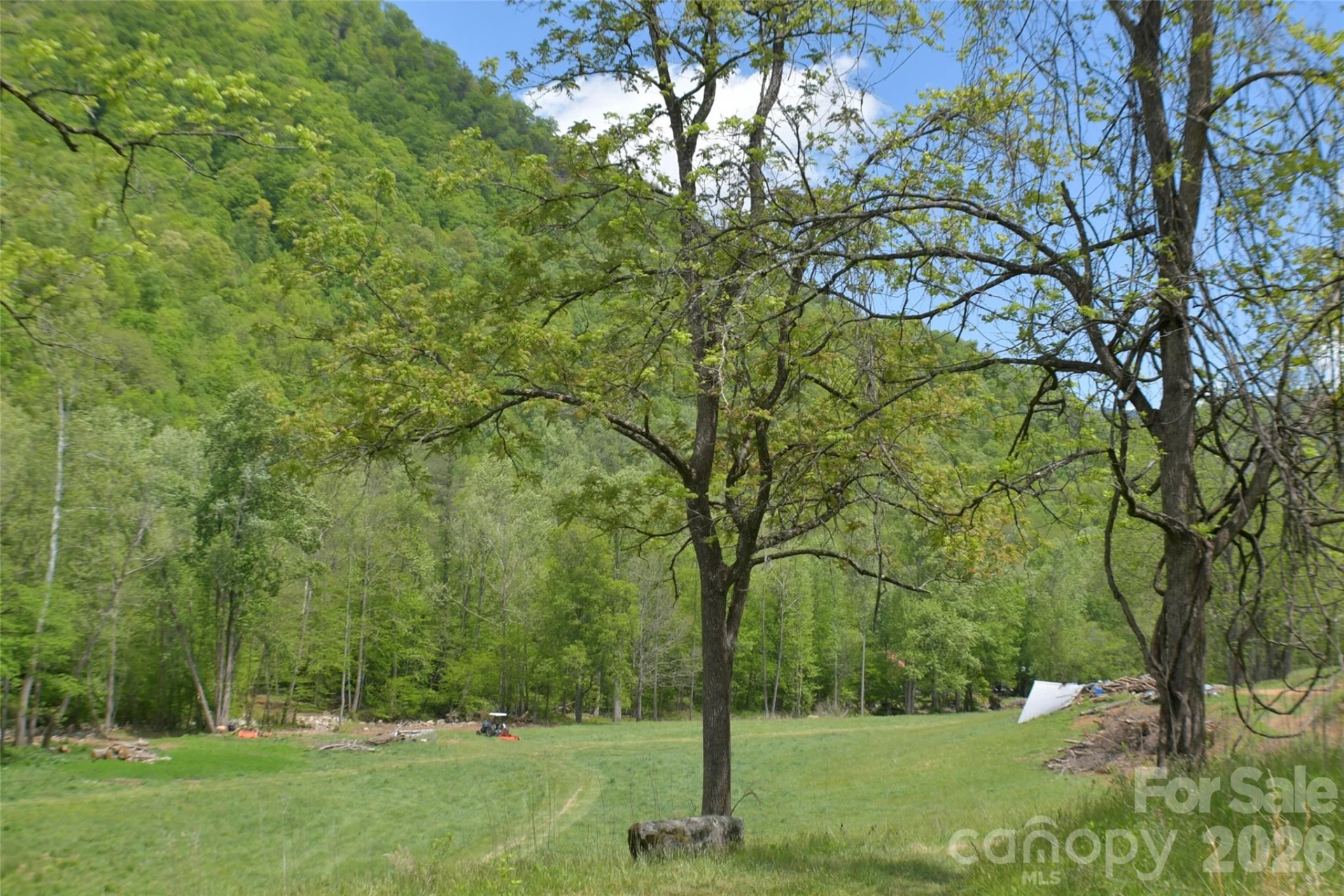 8200 Caney Fork Road - Photo 11