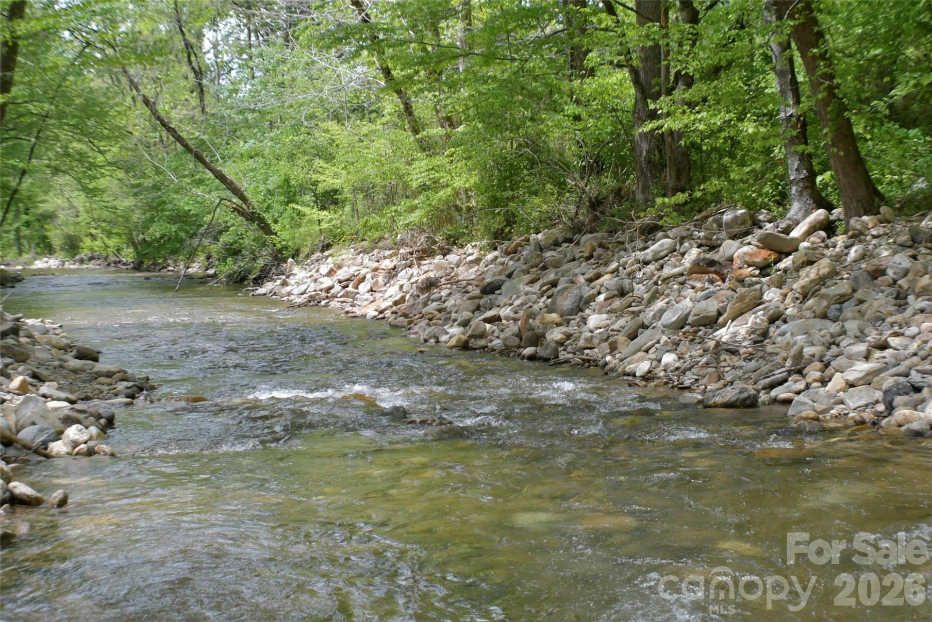 8200 Caney Fork Road - Photo 13