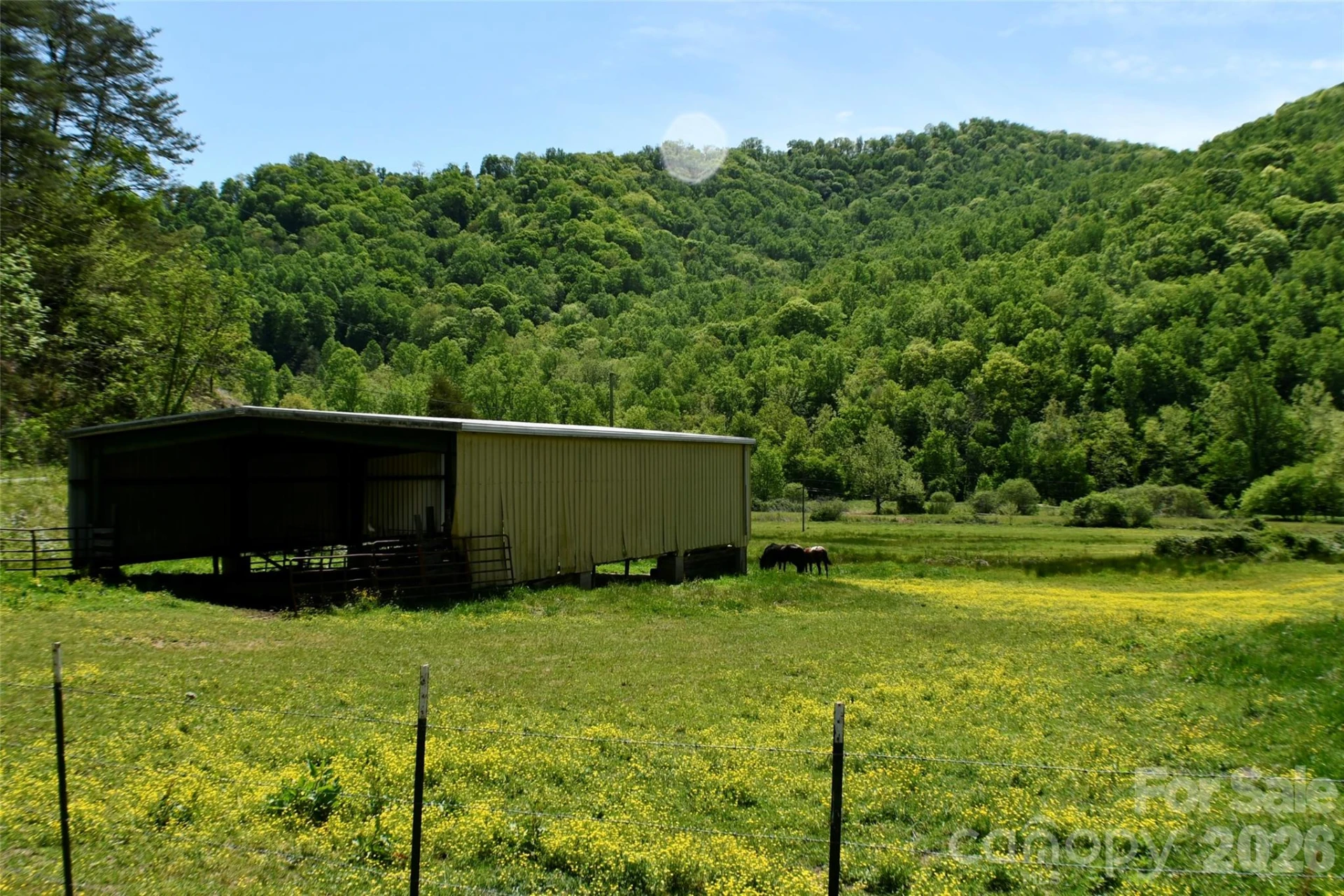 8200 Caney Fork Road - Photo 3