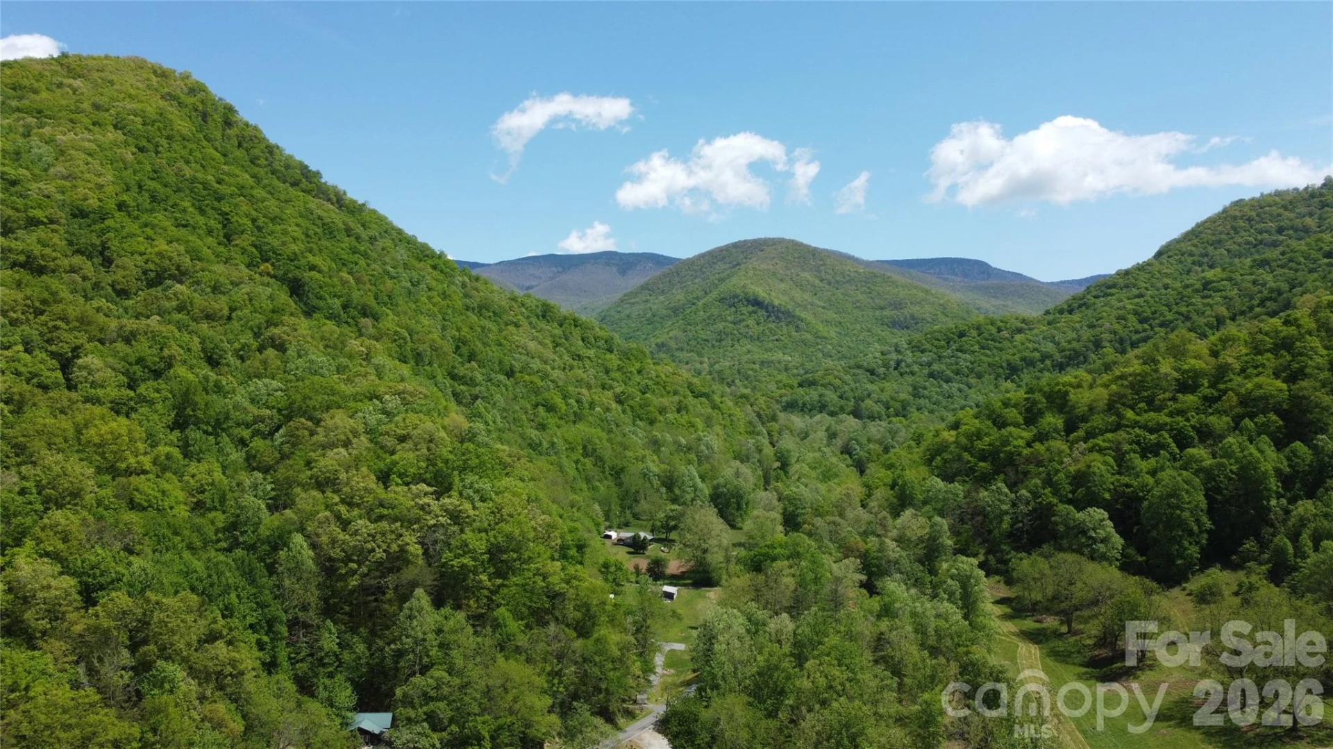 8200 Caney Fork Road - Photo 4
