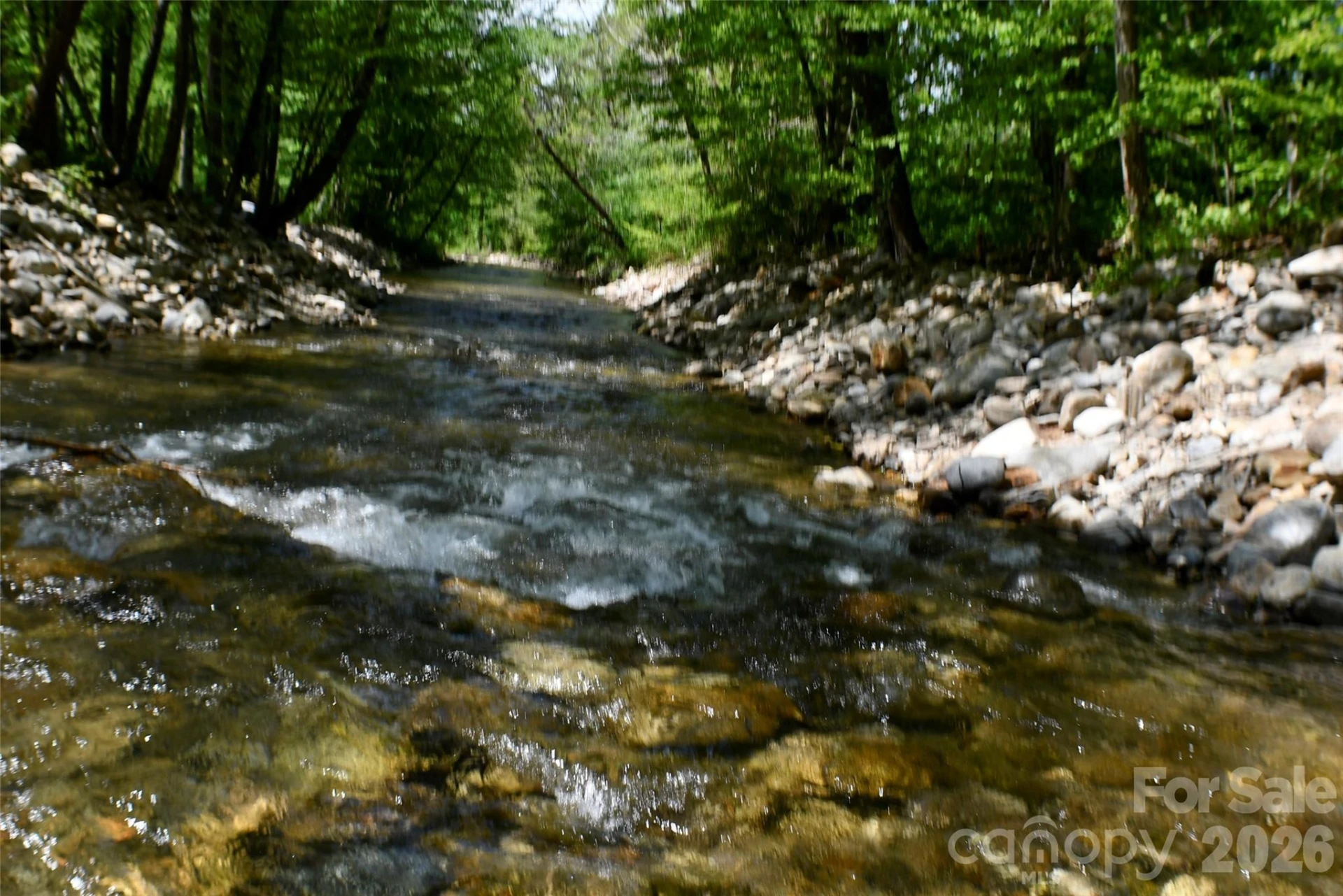 8200 Caney Fork Road - Photo 5