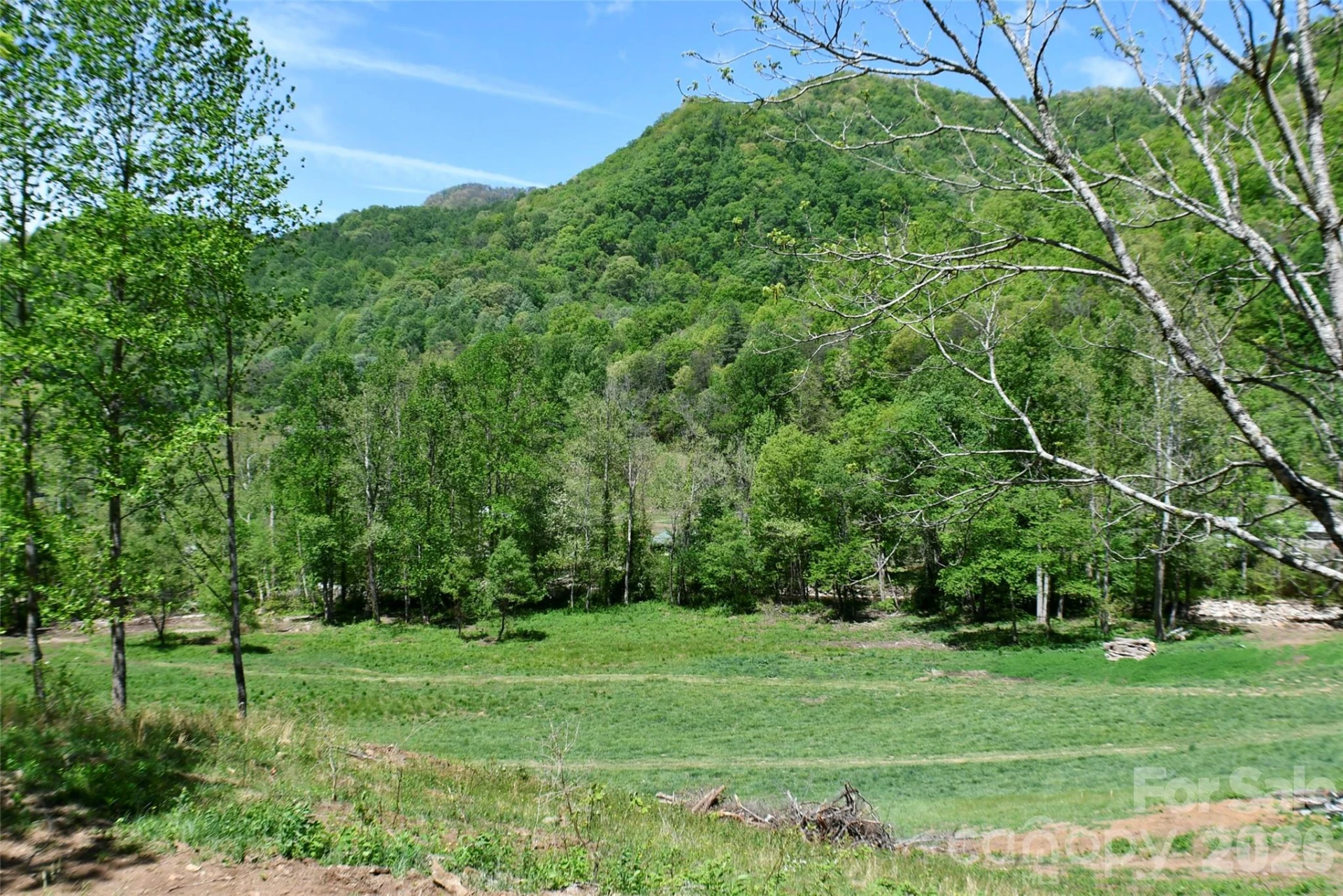 8200 Caney Fork Road - Photo 6