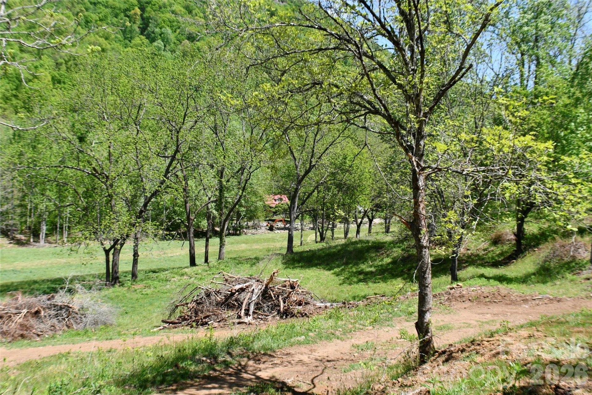 8200 Caney Fork Road - Photo 7