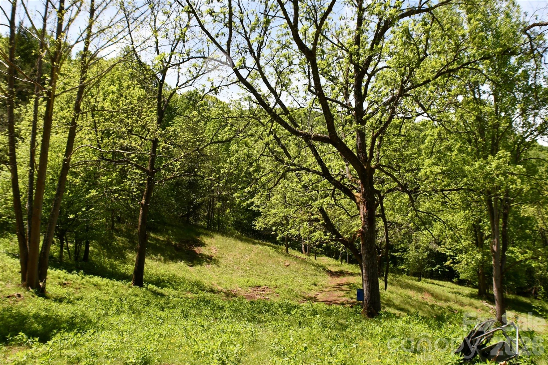 8200 Caney Fork Road - Photo 8