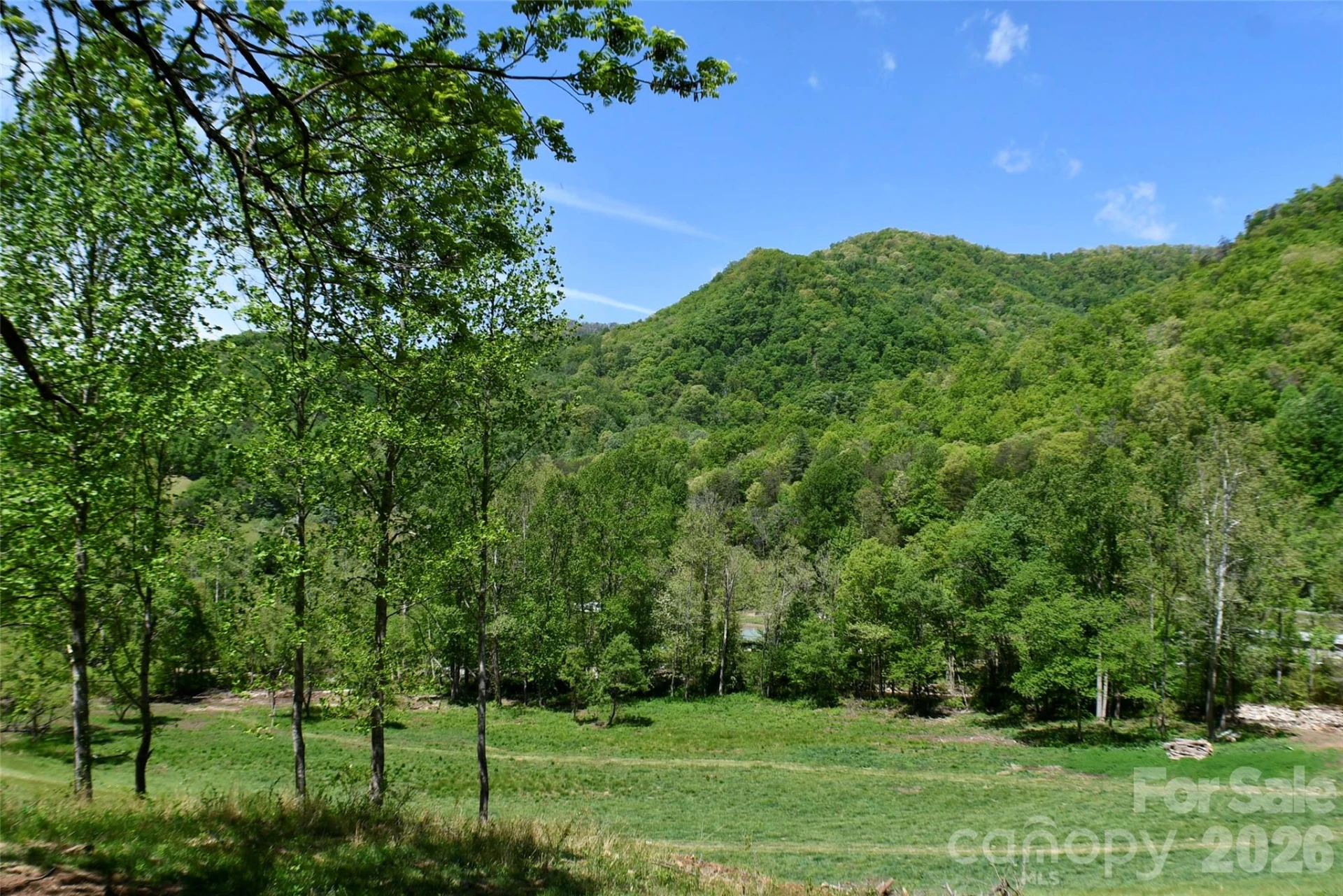 8200 Caney Fork Road - Photo 9
