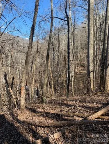 Lot 3 Cedar Mountain Road, Asheville, NC, 28803