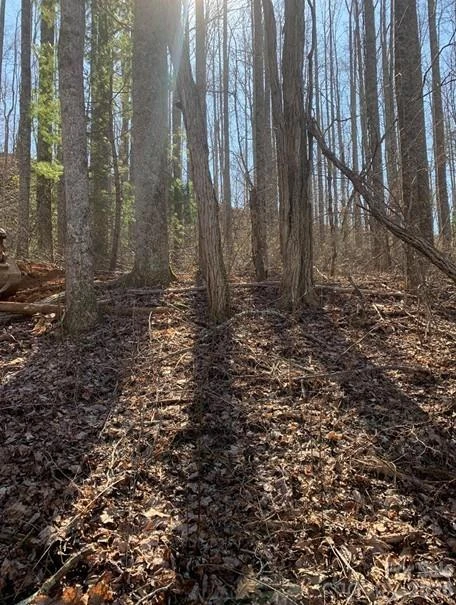 Lot 3 Cedar Mountain Road #3 - Photo 2