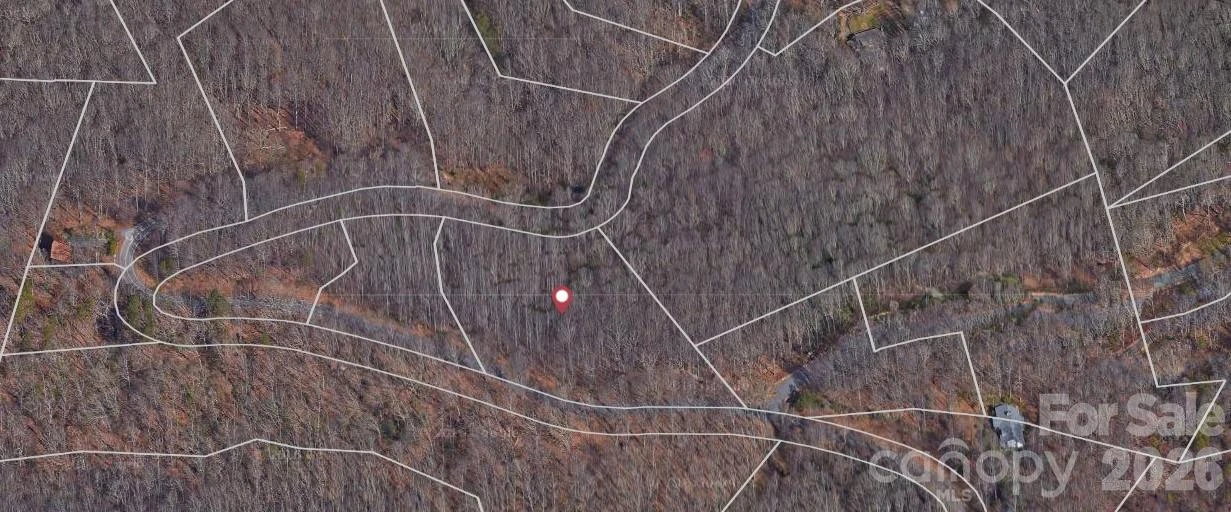Lot 3 Cedar Mountain Road #3 - Photo 3