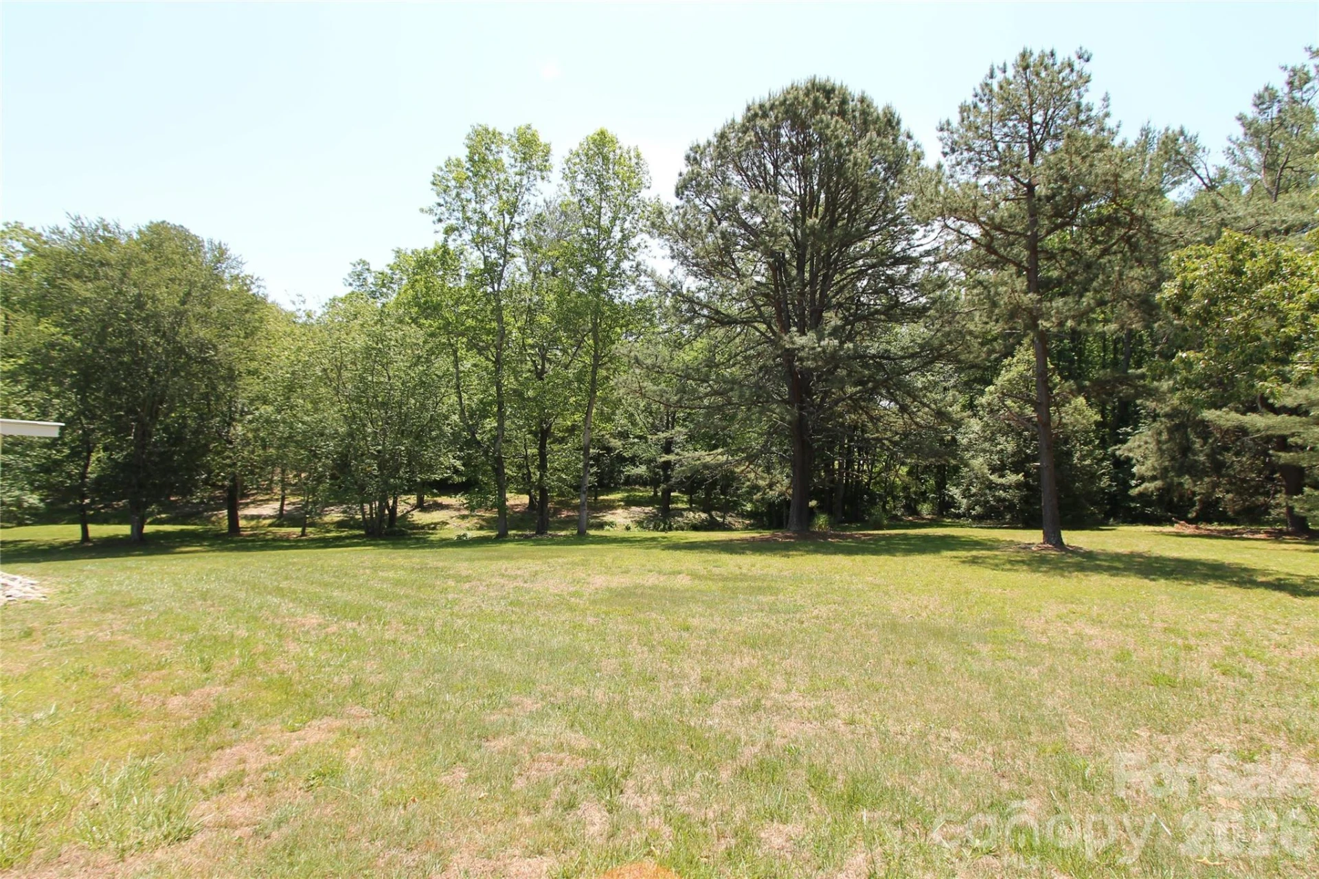 231 Allen Road - Photo 16