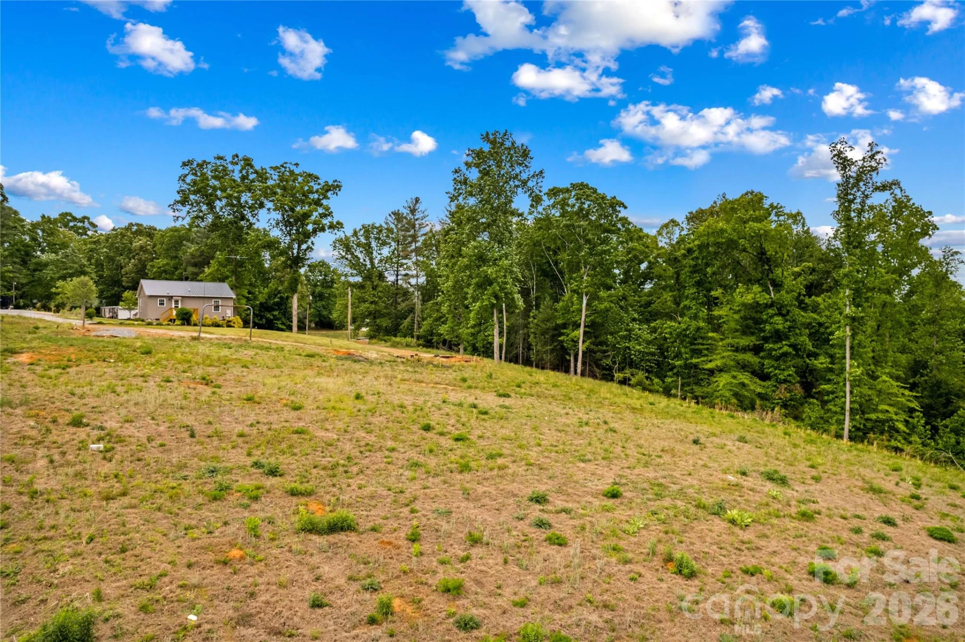 1026 Blue Ridge Ventures None - Photo 25