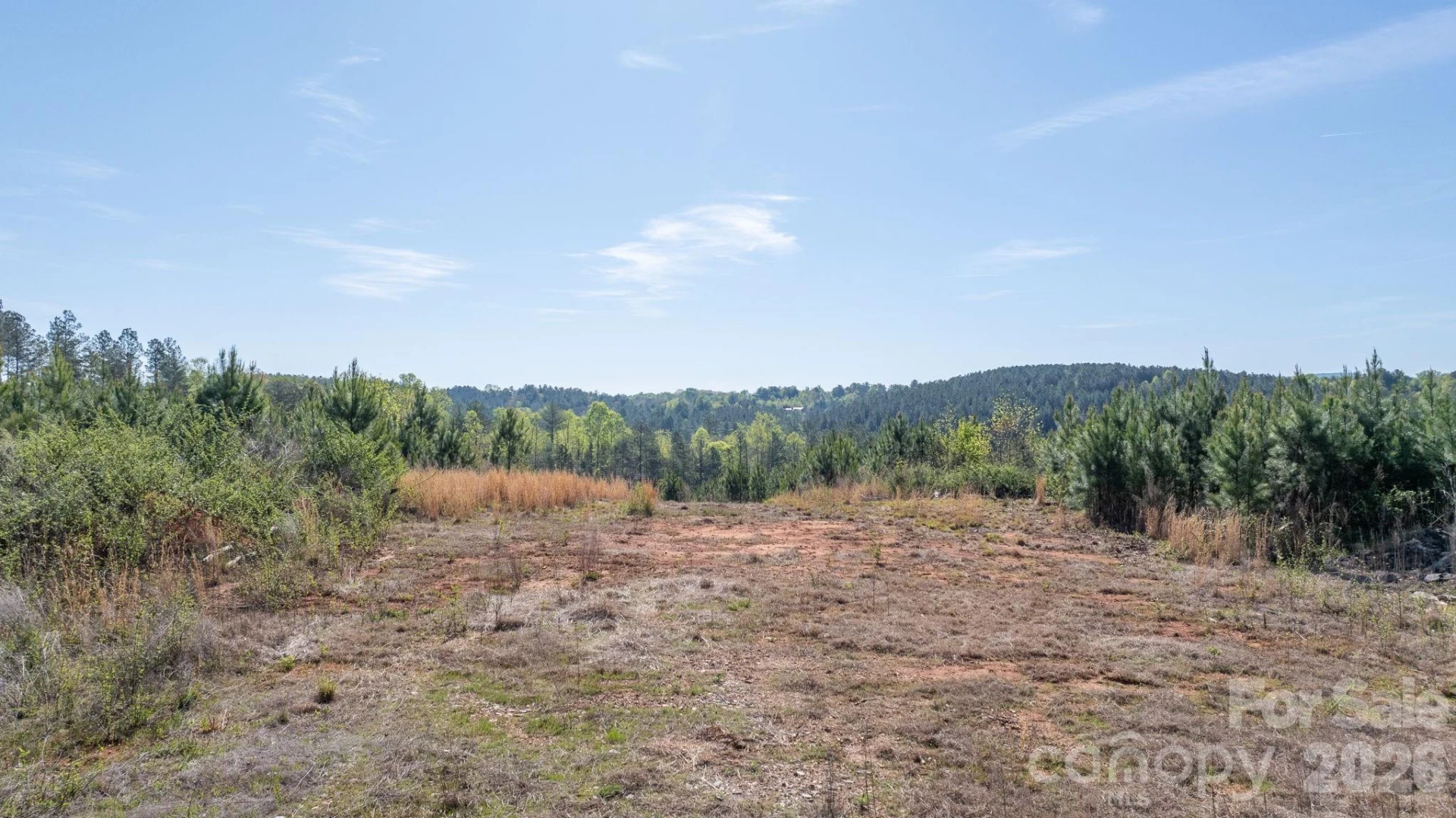 768 Bryant Road - Photo 3