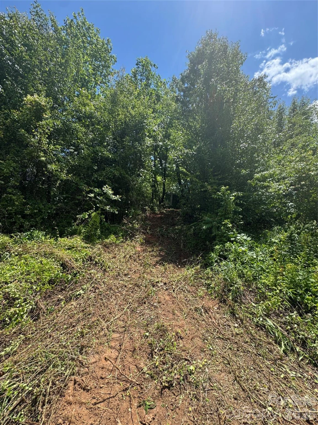 TBD Duckett Road - Photo 11