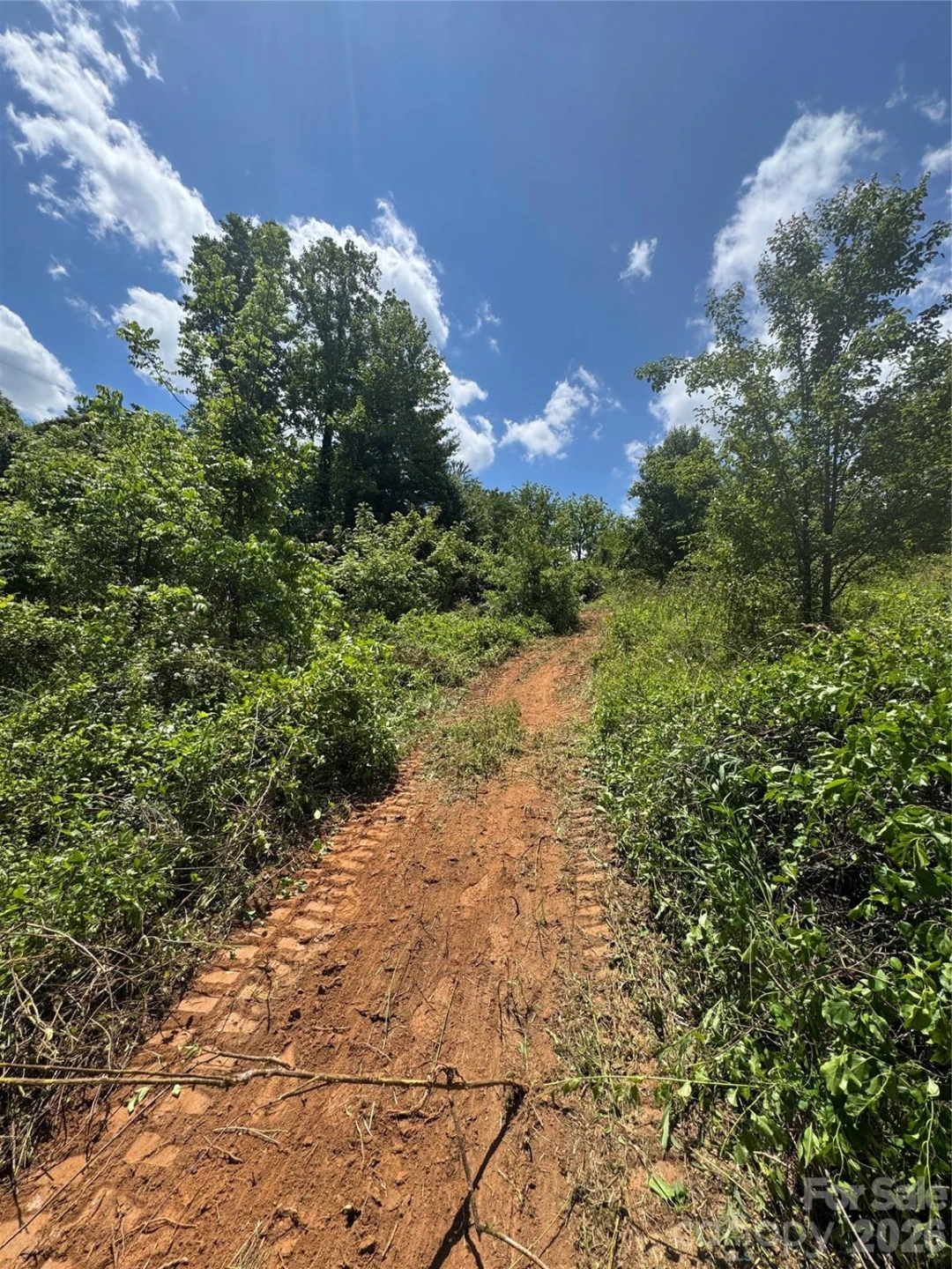 TBD Duckett Road - Photo 13