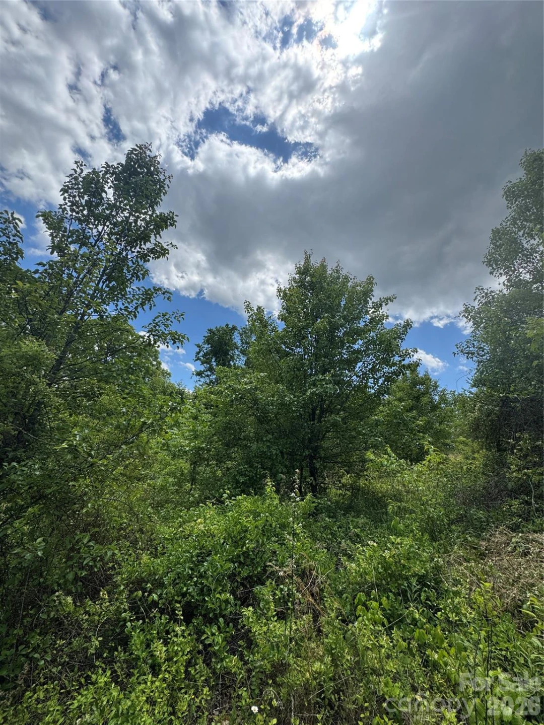 TBD Duckett Road - Photo 14