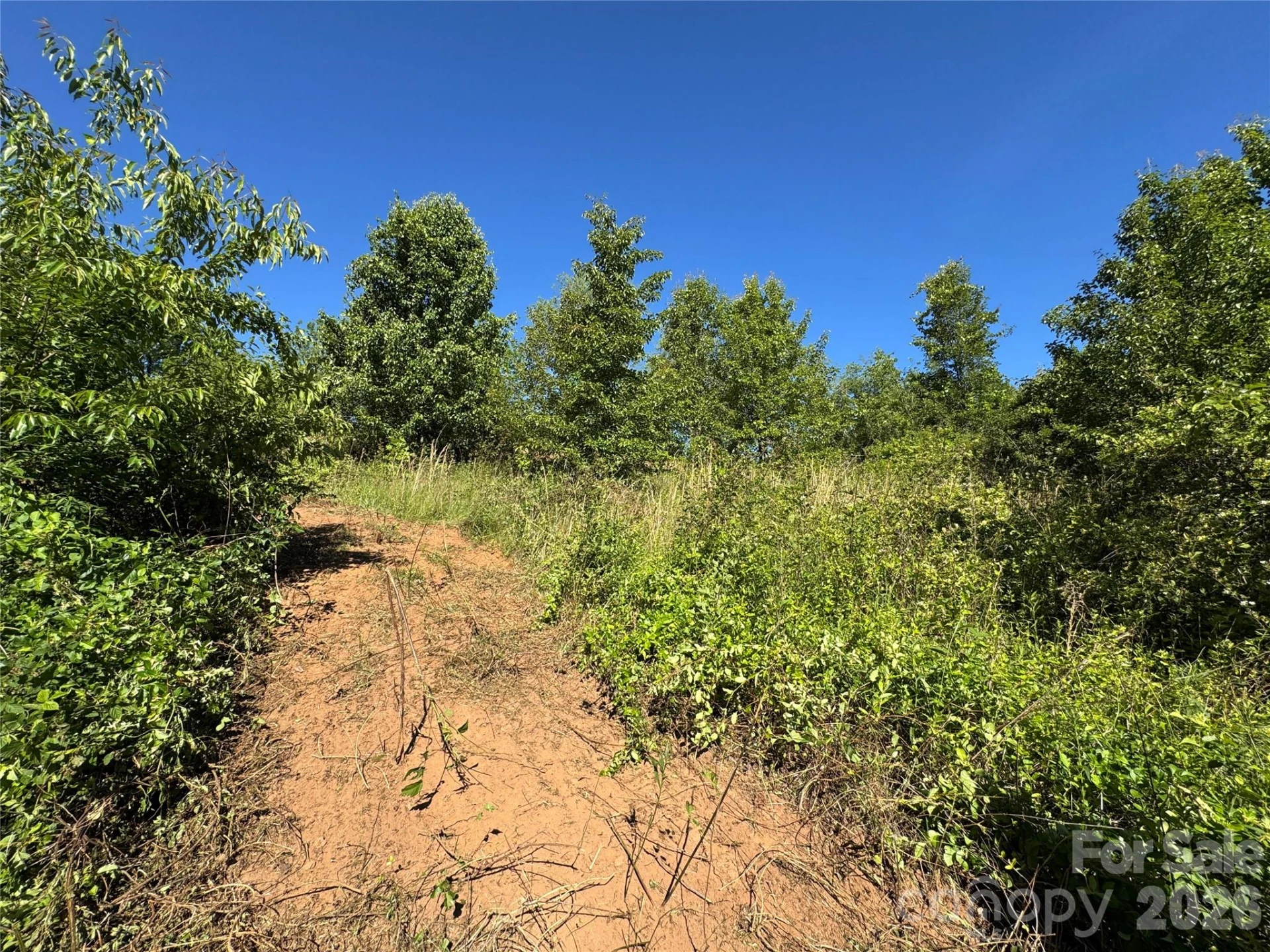 TBD Duckett Road - Photo 4