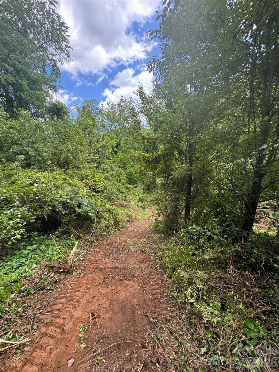 TBD Duckett Road - Photo 6