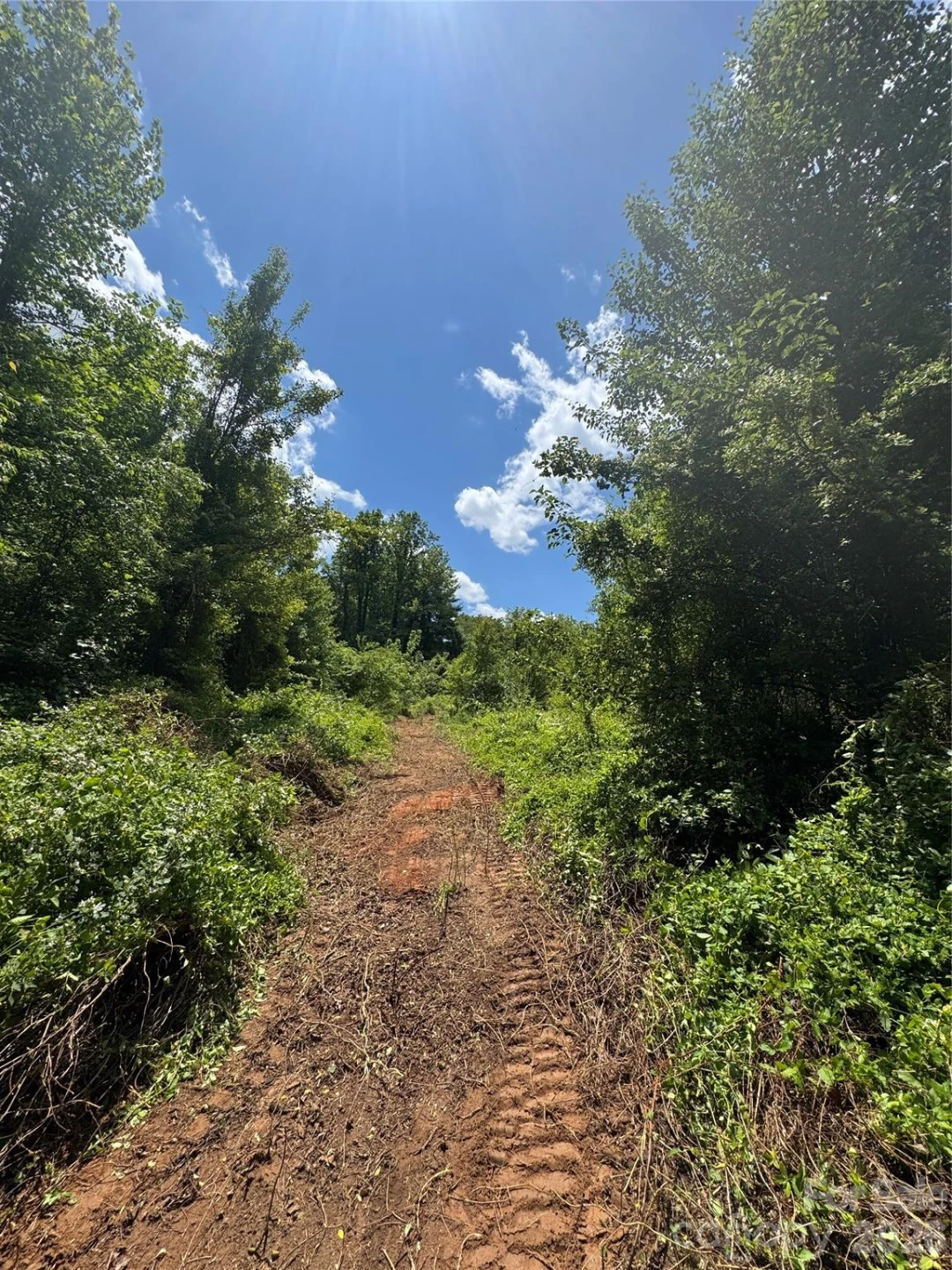 TBD Duckett Road - Photo 8