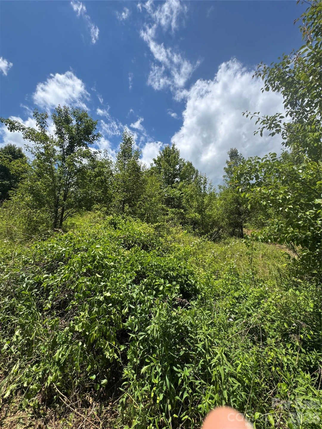 TBD Duckett Road - Photo 9