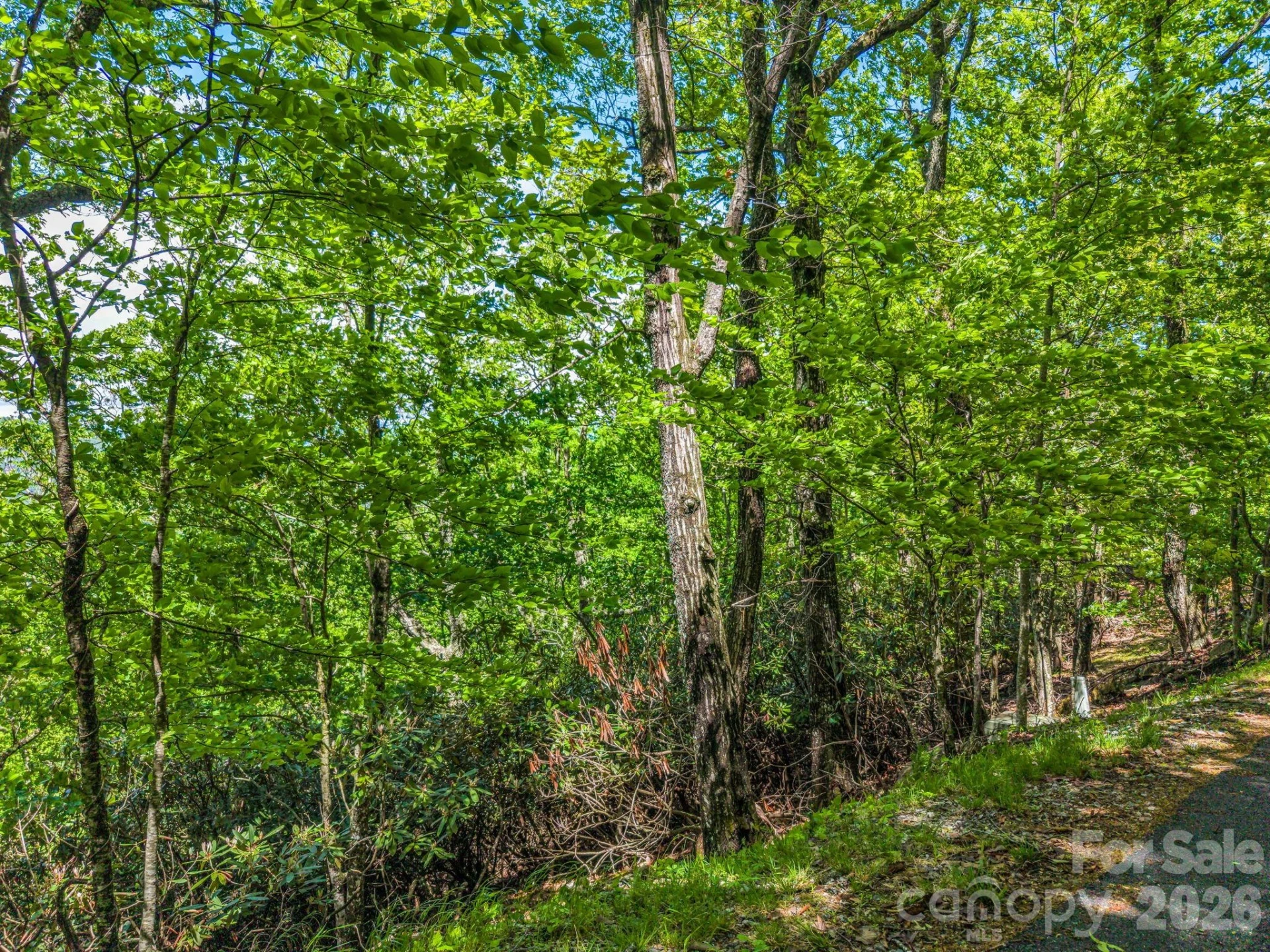 99999 Laurel Drive #27, 28, 29 - Photo 4
