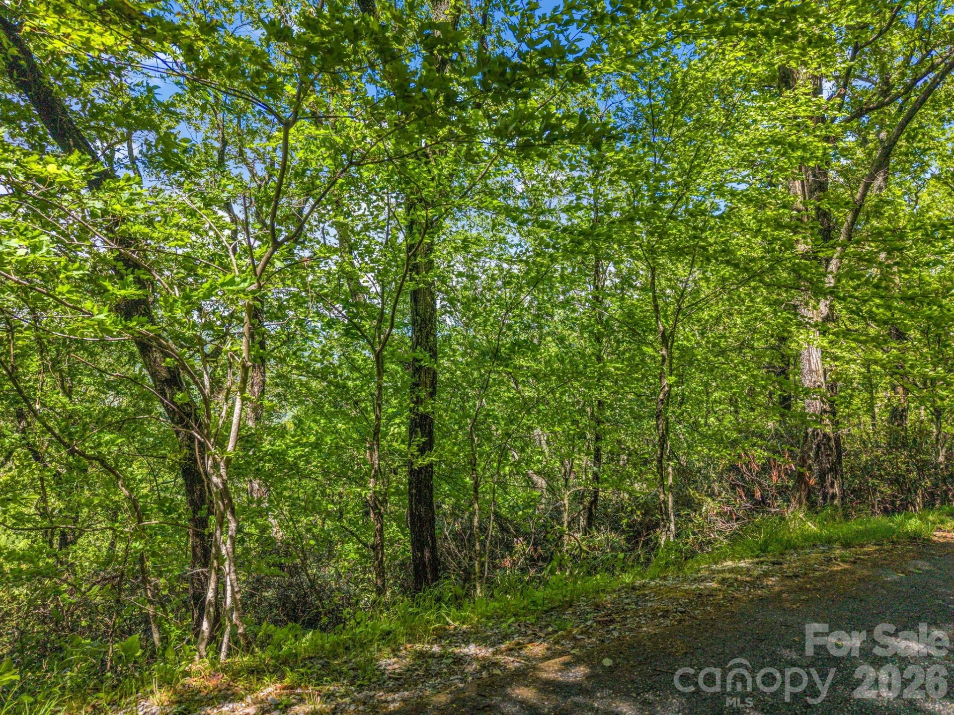 99999 Laurel Drive #27, 28, 29 - Photo 6
