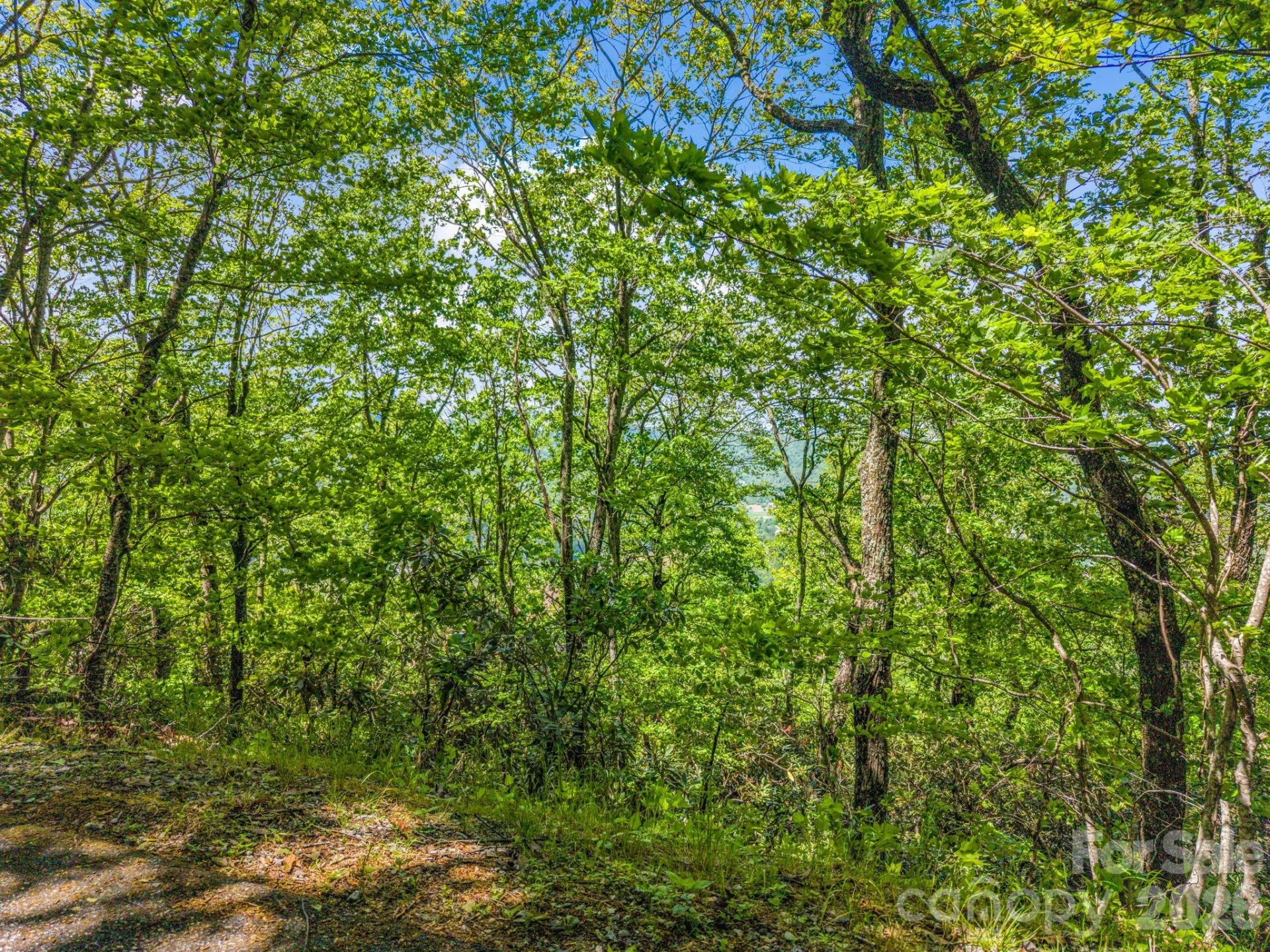 99999 Laurel Drive #27, 28, 29 - Photo 7