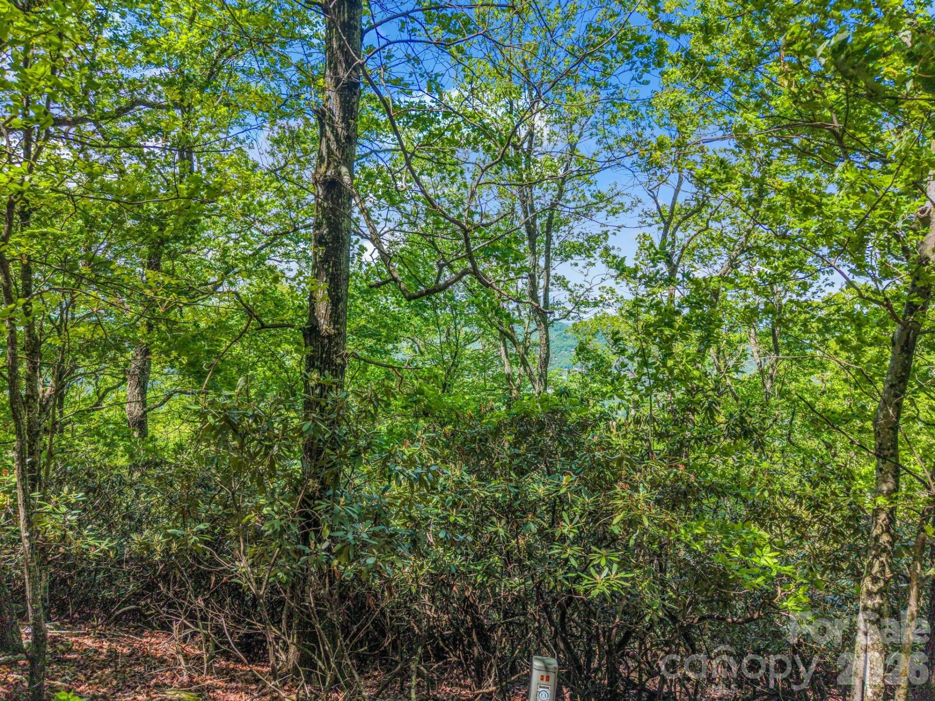 99999 Laurel Drive #27, 28, 29 - Photo 8