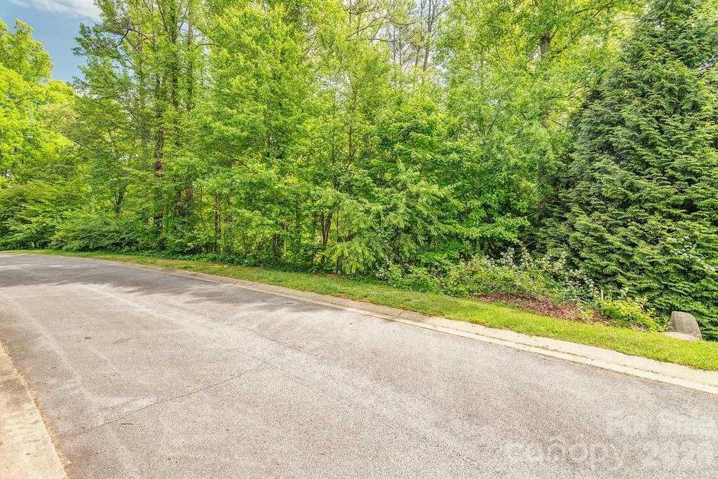61 Bradford Vistas Drive - Photo 3