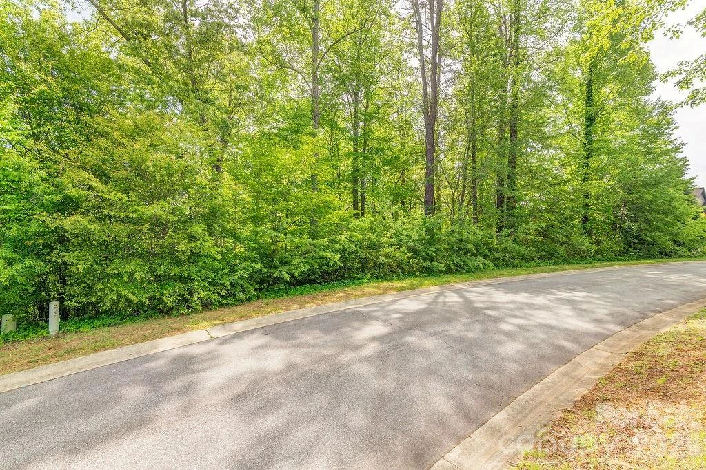 61 Bradford Vistas Drive - Photo 4