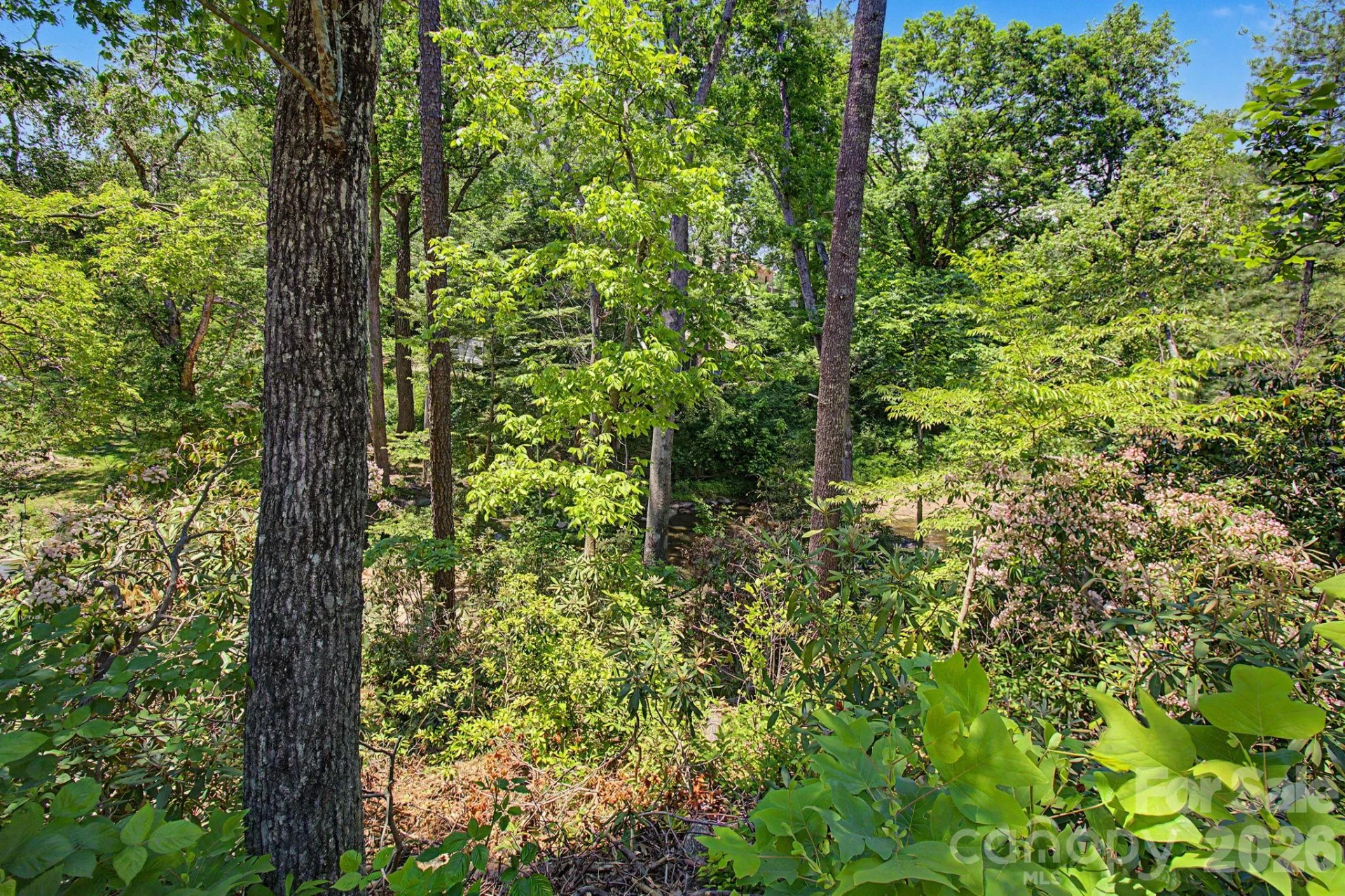 1355 Brookside Camp Road - Photo 2