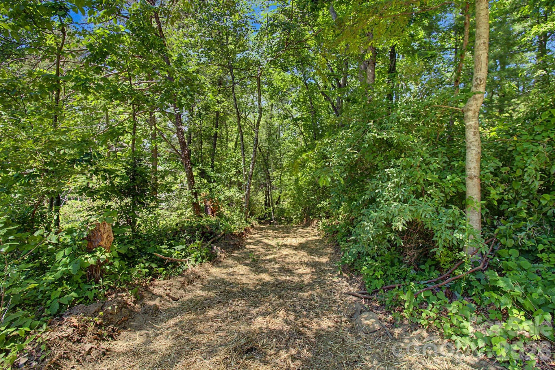 1355 Brookside Camp Road - Photo 11