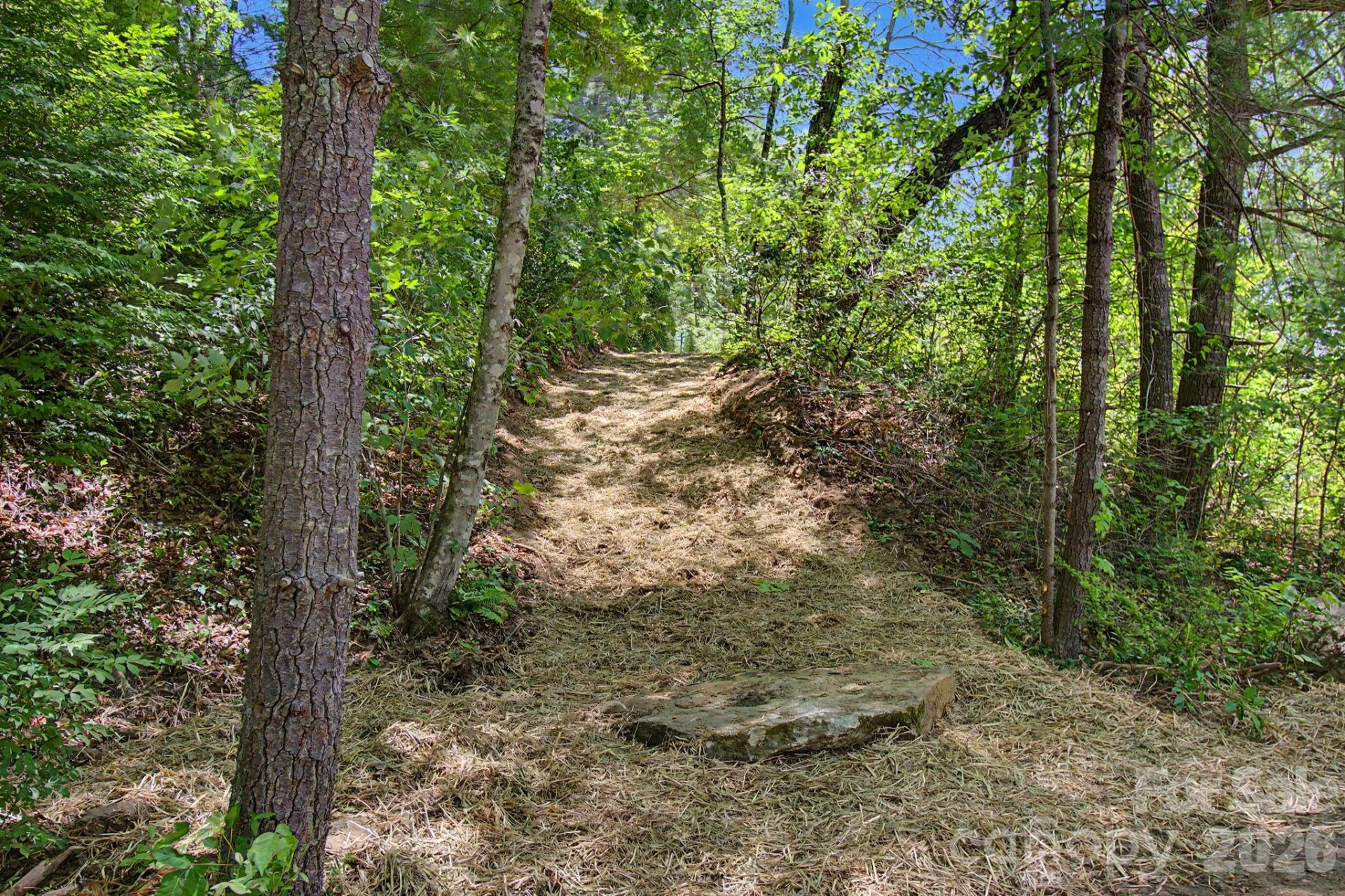 1355 Brookside Camp Road - Photo 13