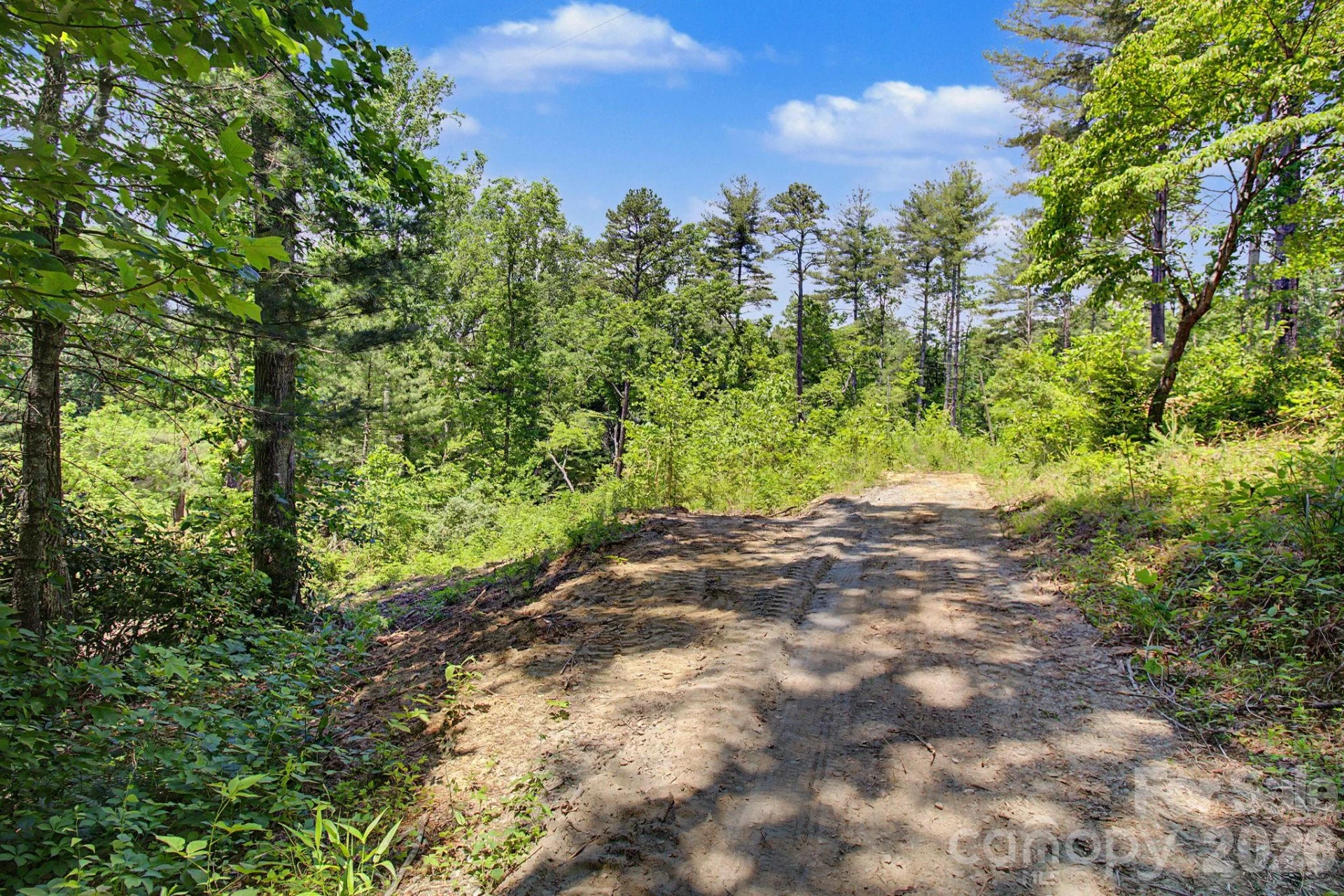 1355 Brookside Camp Road - Photo 16