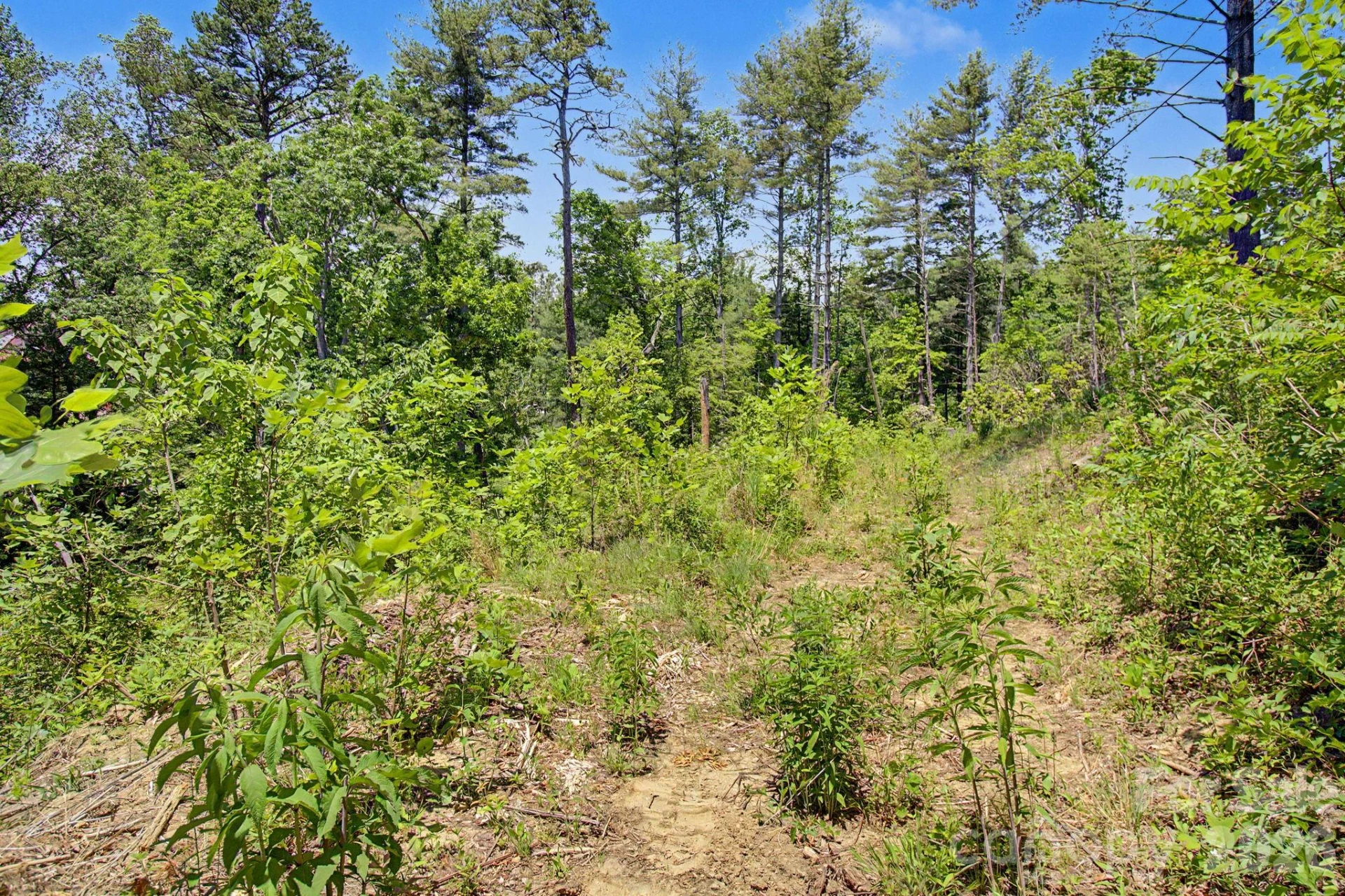 1355 Brookside Camp Road - Photo 17