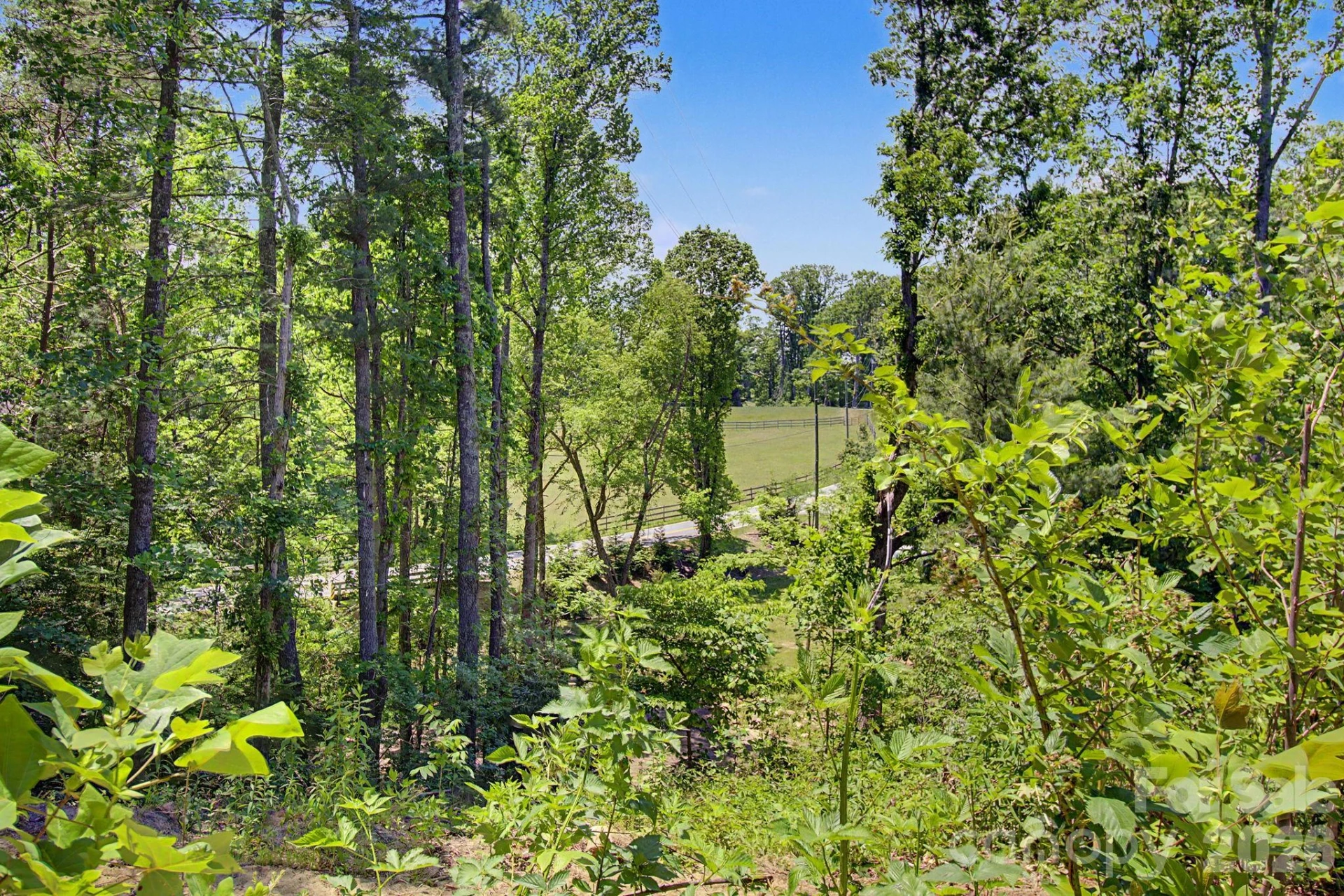 1355 Brookside Camp Road - Photo 18