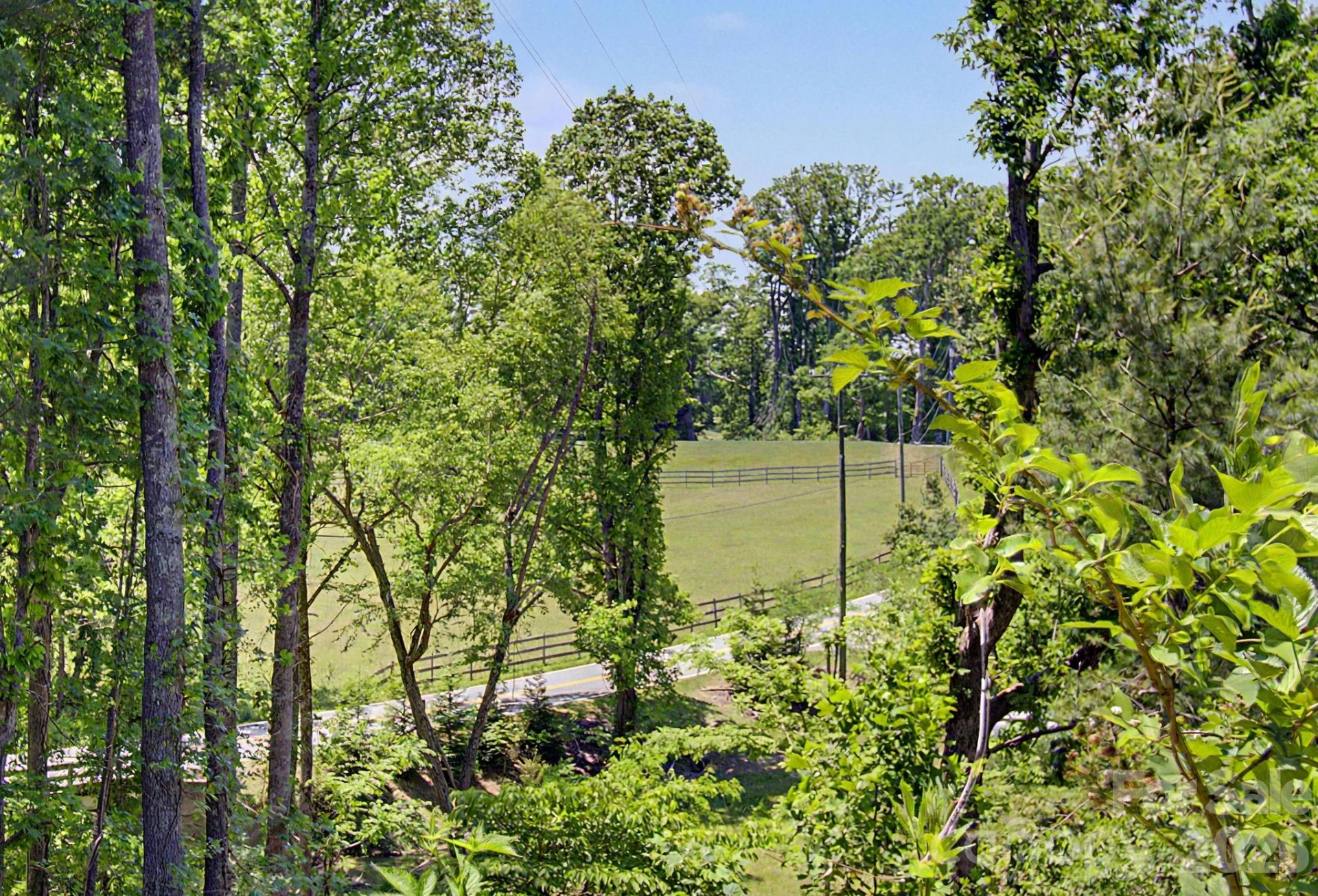 1355 Brookside Camp Road - Photo 19