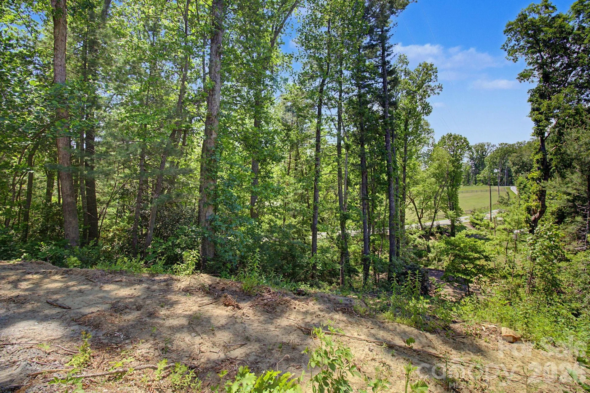 1355 Brookside Camp Road - Photo 20